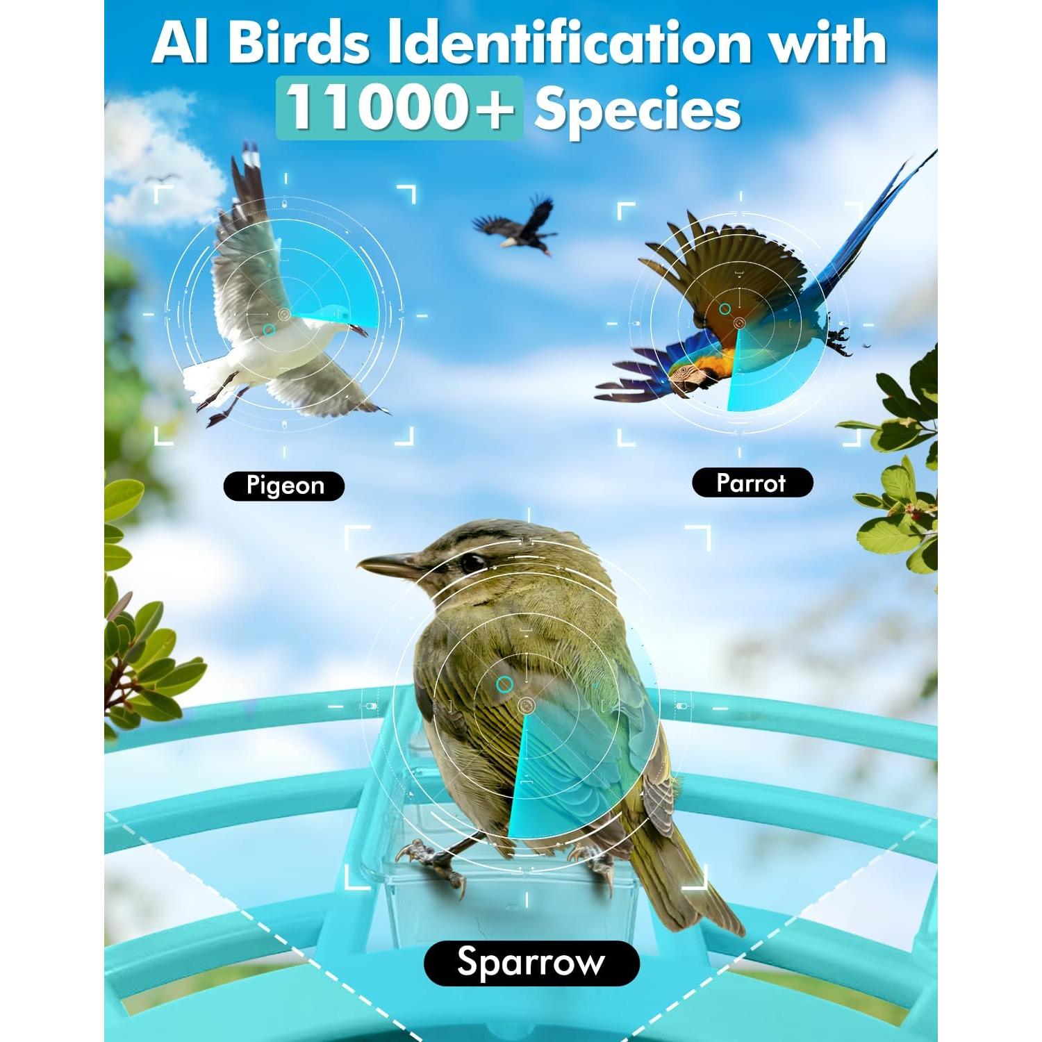 Comedero Inteligente para Aves XimaoEase 1.5L HD AI Solar