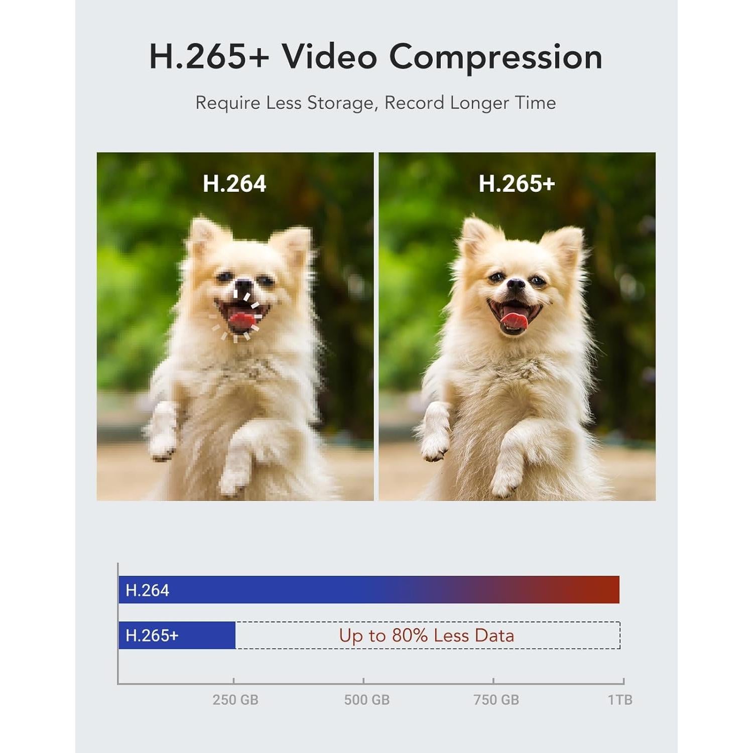Grabador de Video Digital ANNKE 16 Canales 1080P Lite