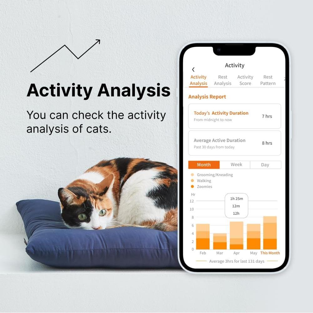 Conjunto de Cargador PurrSong LavvieTAG para Gato - Monitoreo de Actividad