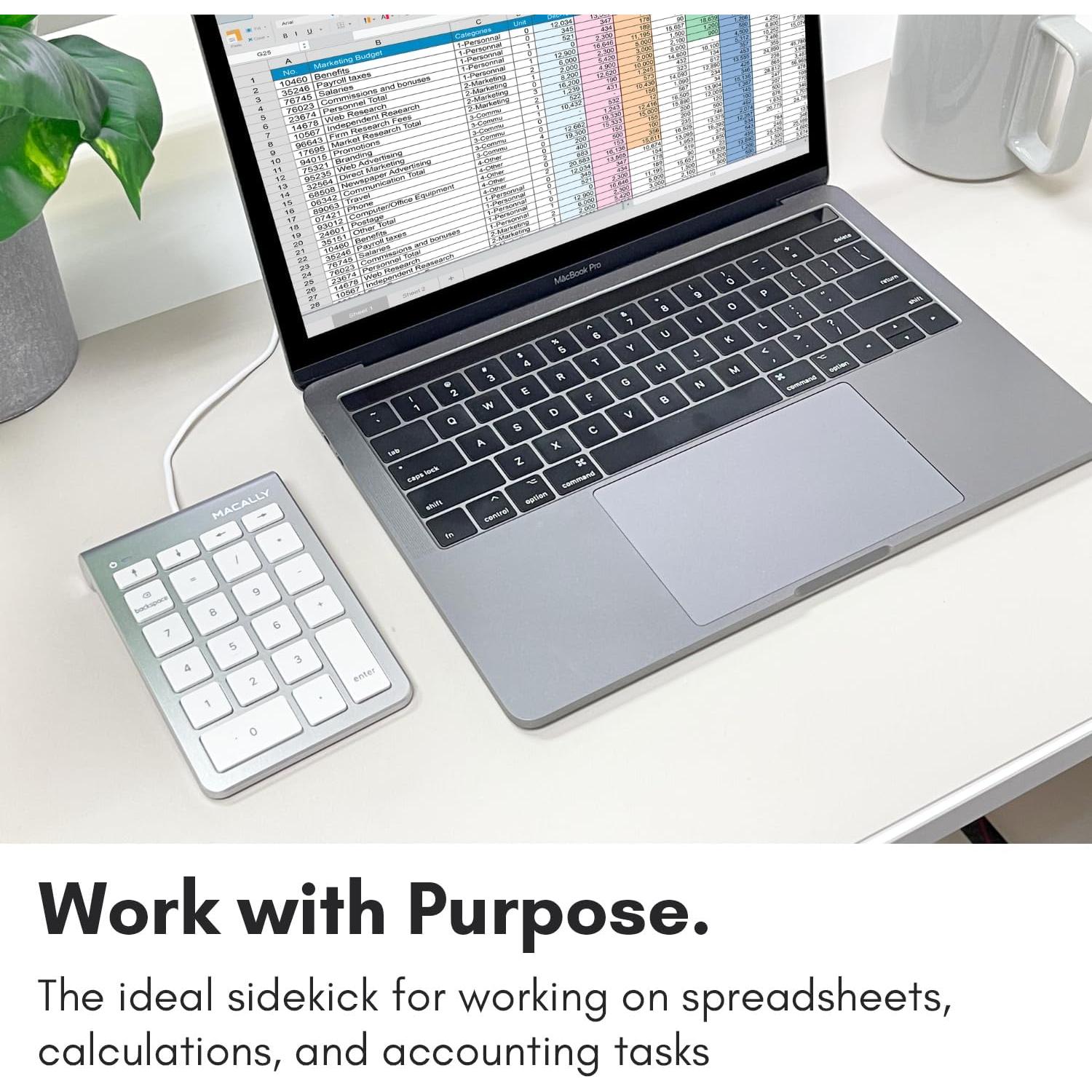 Teclado Numérico USB C Macally UCNUMKEY22 Plata 22 Teclas