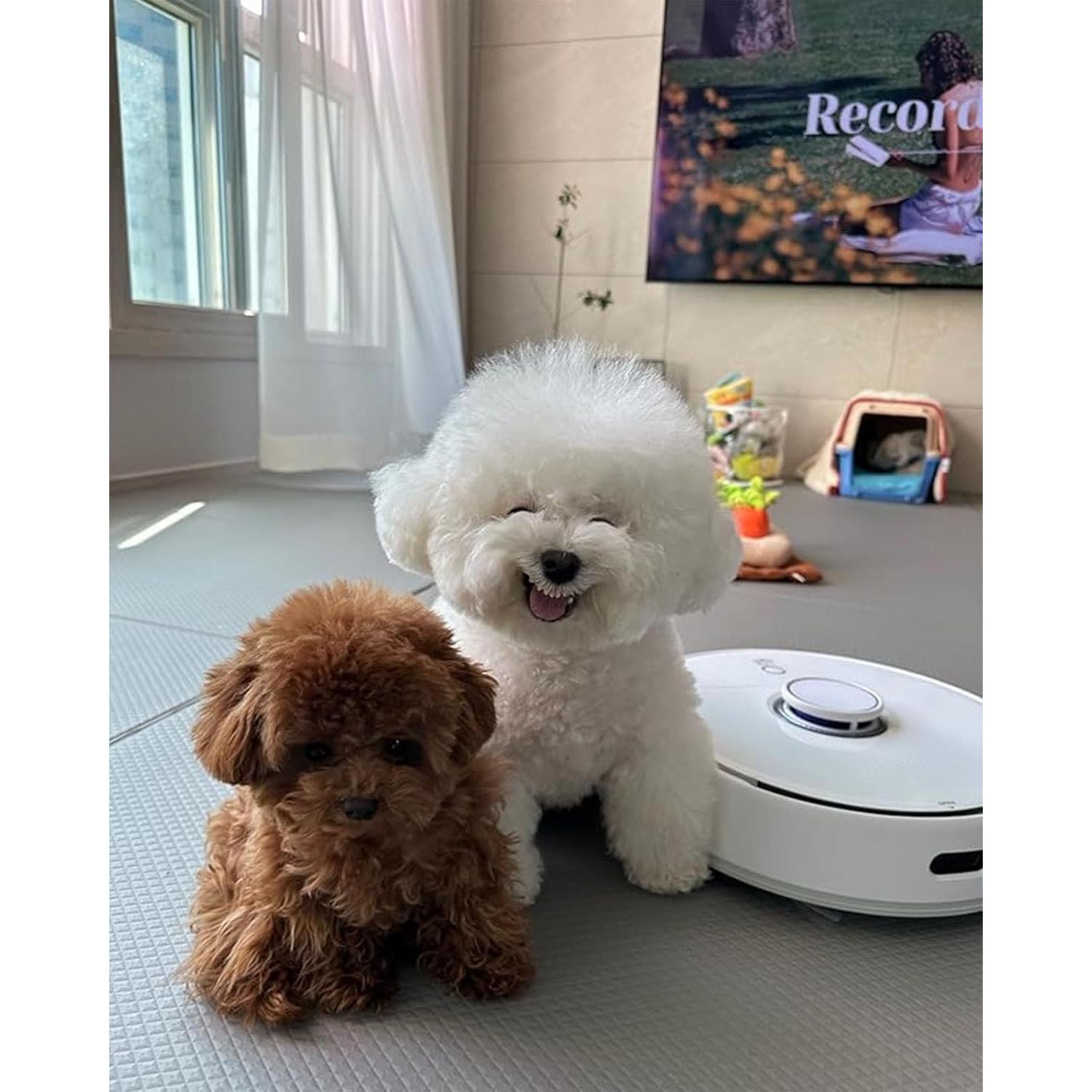 Paños de limpieza microfibra DrAer para Narwal Freo - 8 Pack