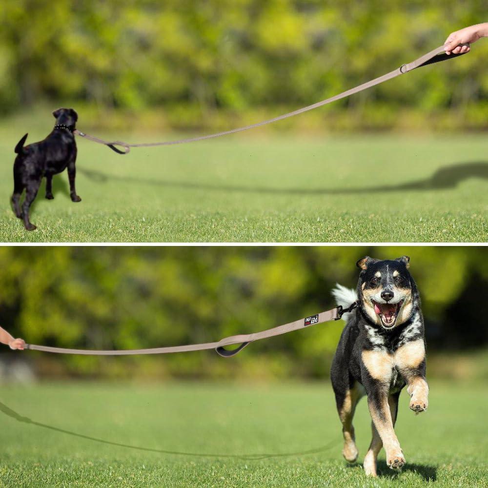 Correa para Perros Plutus Pet Doble Mango 1.2m Beige Resistente