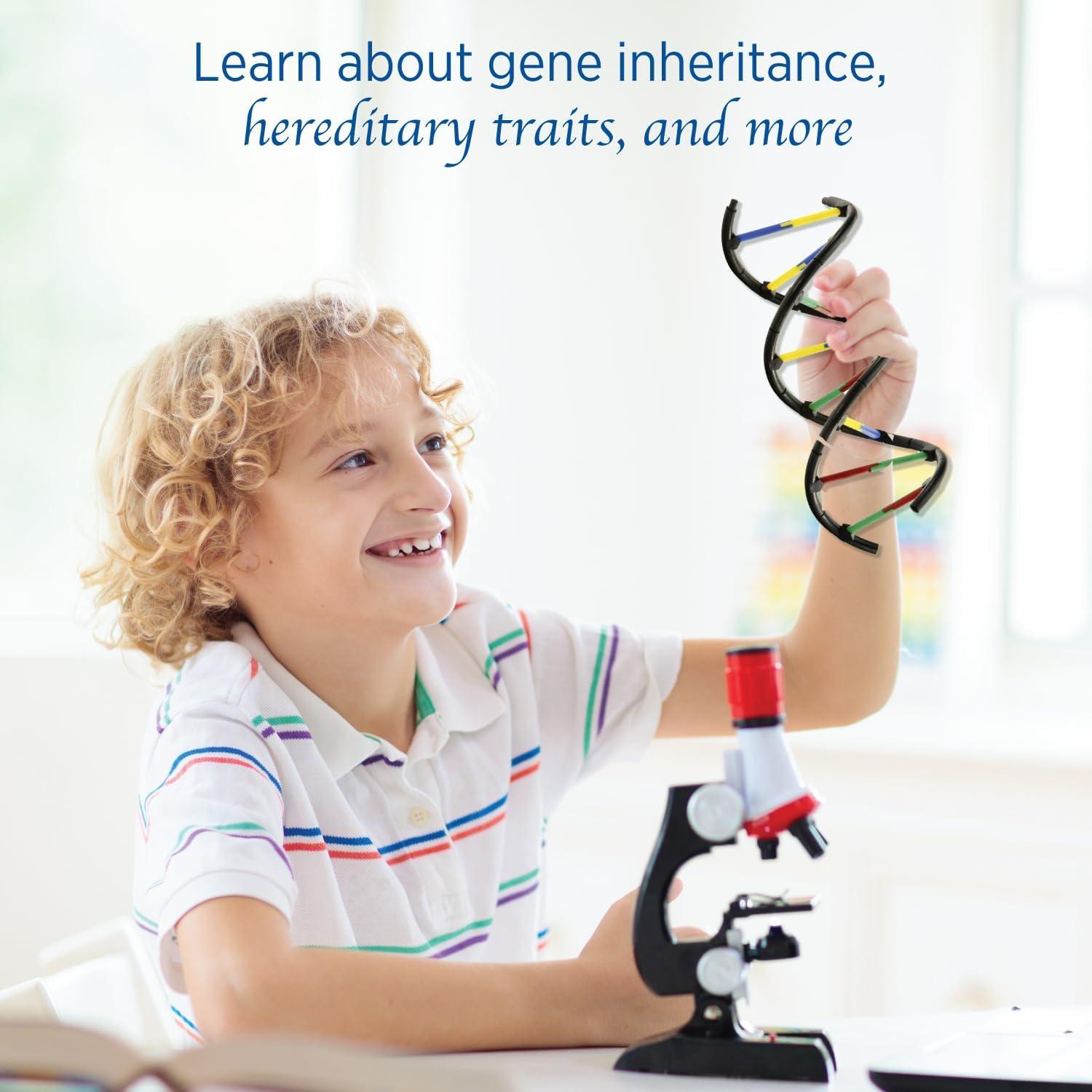 Laboratorio de Genética y ADN Thames & Kosmos 25.4x6.35x27.94 cm