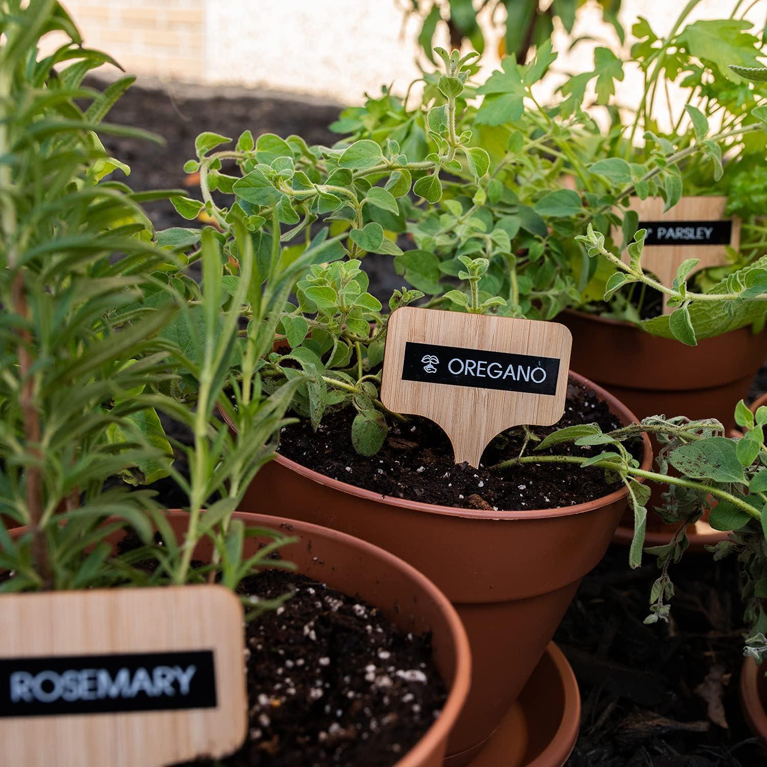 Etiquetadora Brother P-touch Pro PT-H111 Portátil 12mm