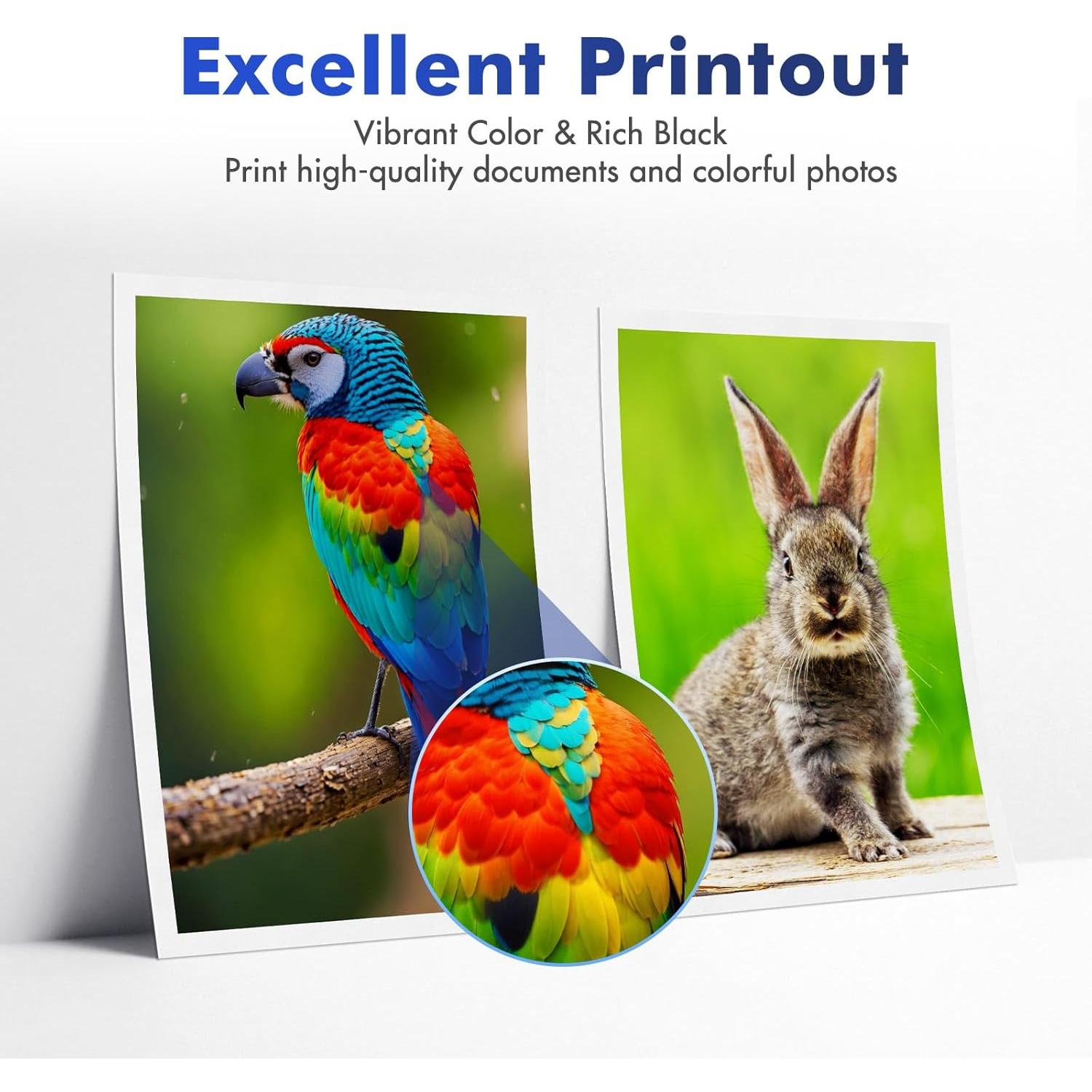 Cartuchos de tinta Brother LC401XL - Paquete de 4 Negro Cian Magenta Amarillo