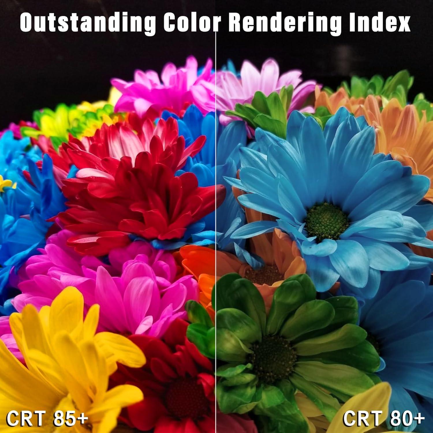 Kit de Iluminación Softbox Skytex 40x40cm con Bombilla LED 135W