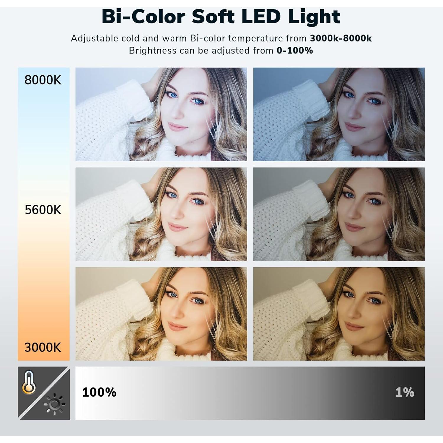 D50 LED Video Light Panel Lights 15.4", 2 Packs 45W 3000K-8000K Bi-Color Dimmable Photography Lighting, CRI 96+ Videography Lighting for Video Shooting/Gaming/Live Stream/Studio/Film