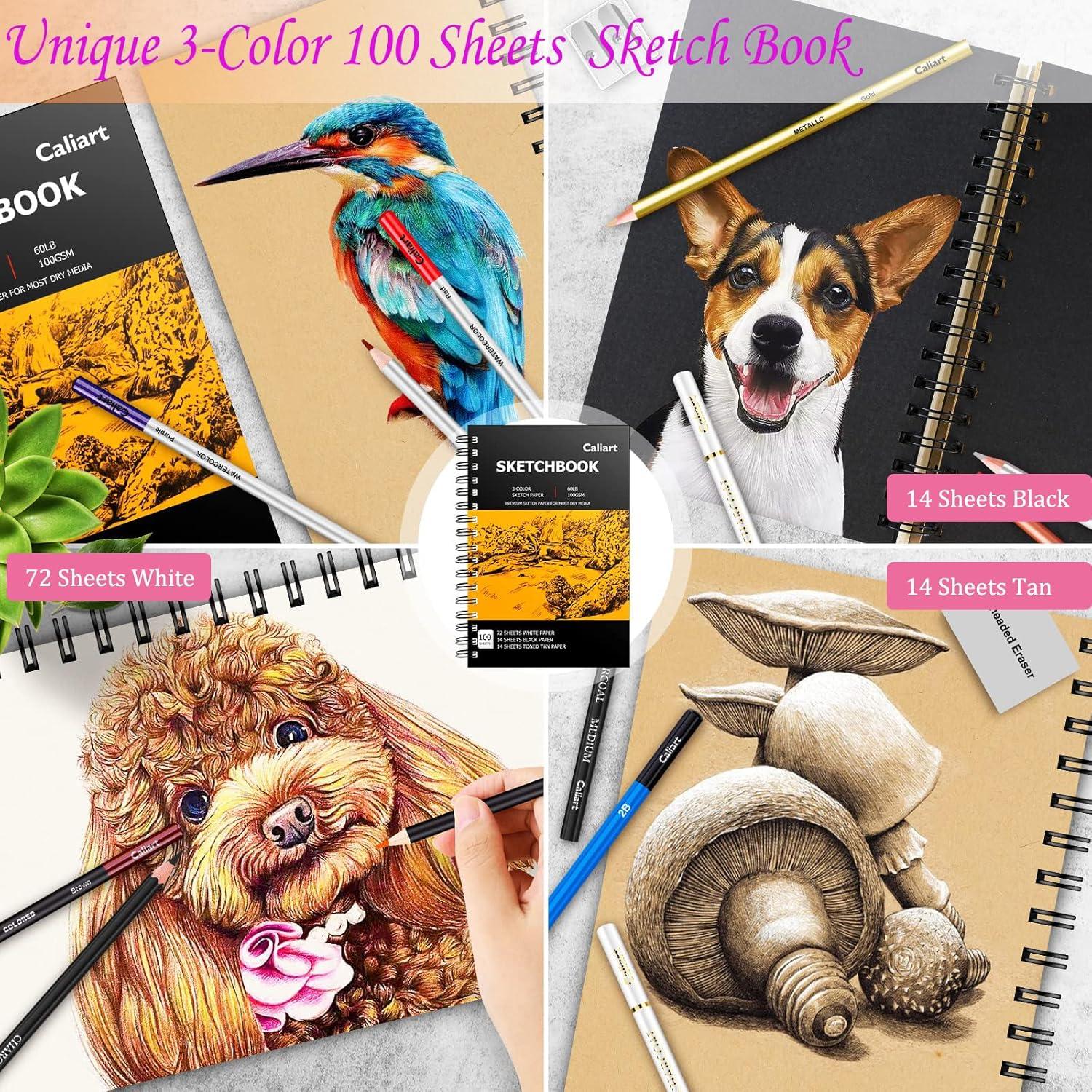Caliart Kit de Dibujo 176 Piezas con Cuaderno 100 Hojas
