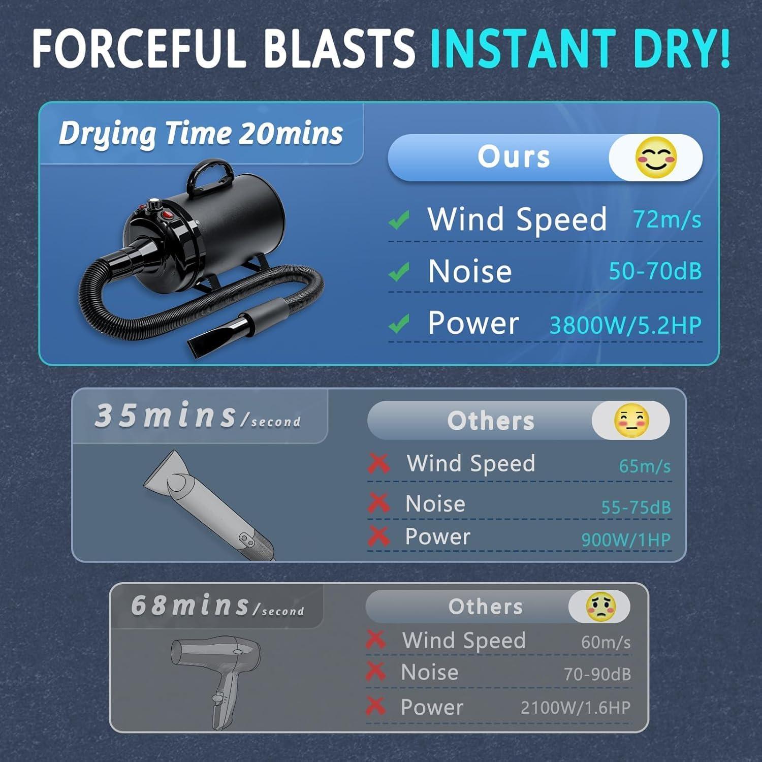 Secador de Pelo Profesional para Perros Blanlody 3800W Negro