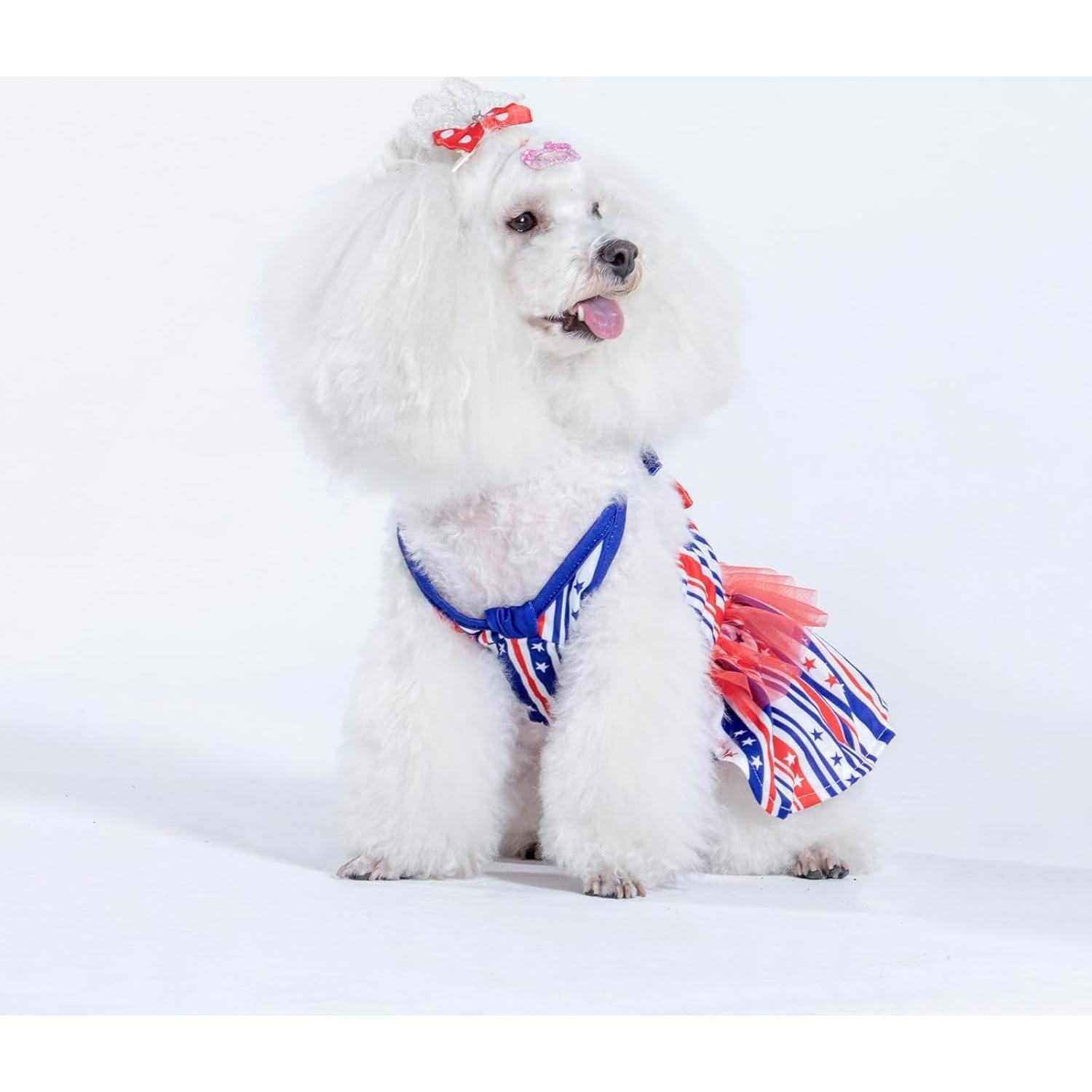 Bikini de una pieza para perros CuteBone XX-Pequeño - Traje de baño cómodo