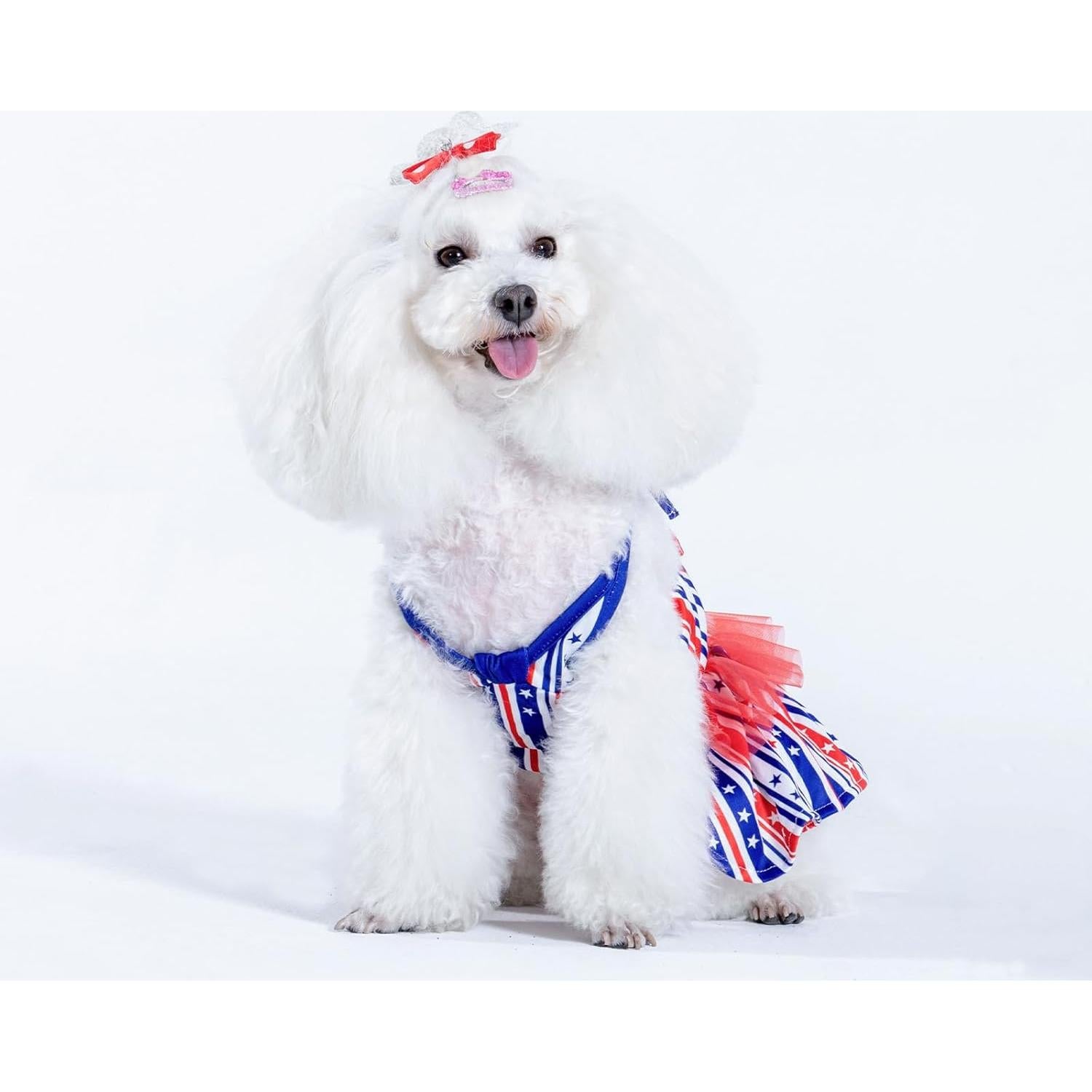 Bikini de una pieza para perros CuteBone XX-Pequeño - Traje de baño cómodo