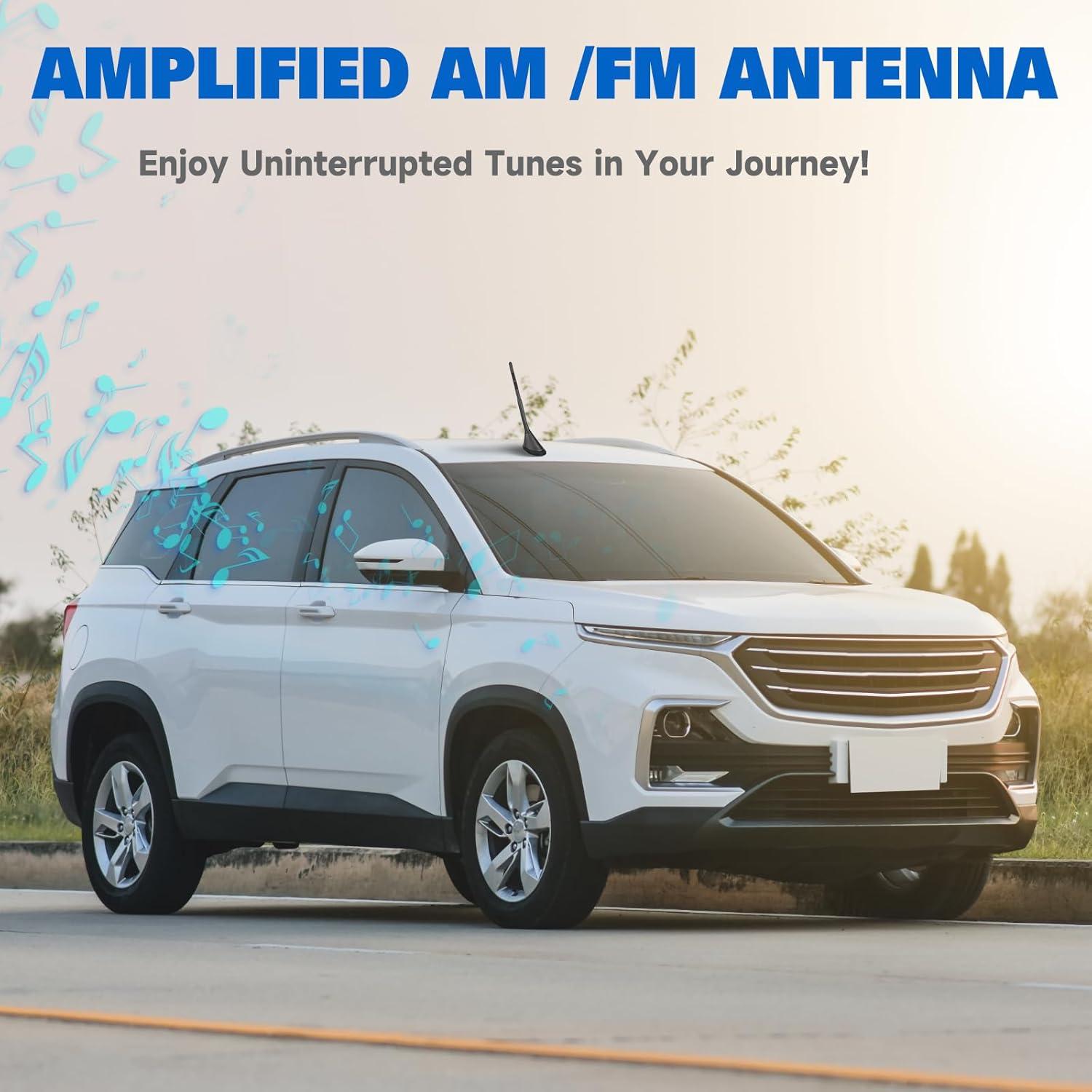 Antena de Radio de Coche Eightwood Amplificada 12V 5m