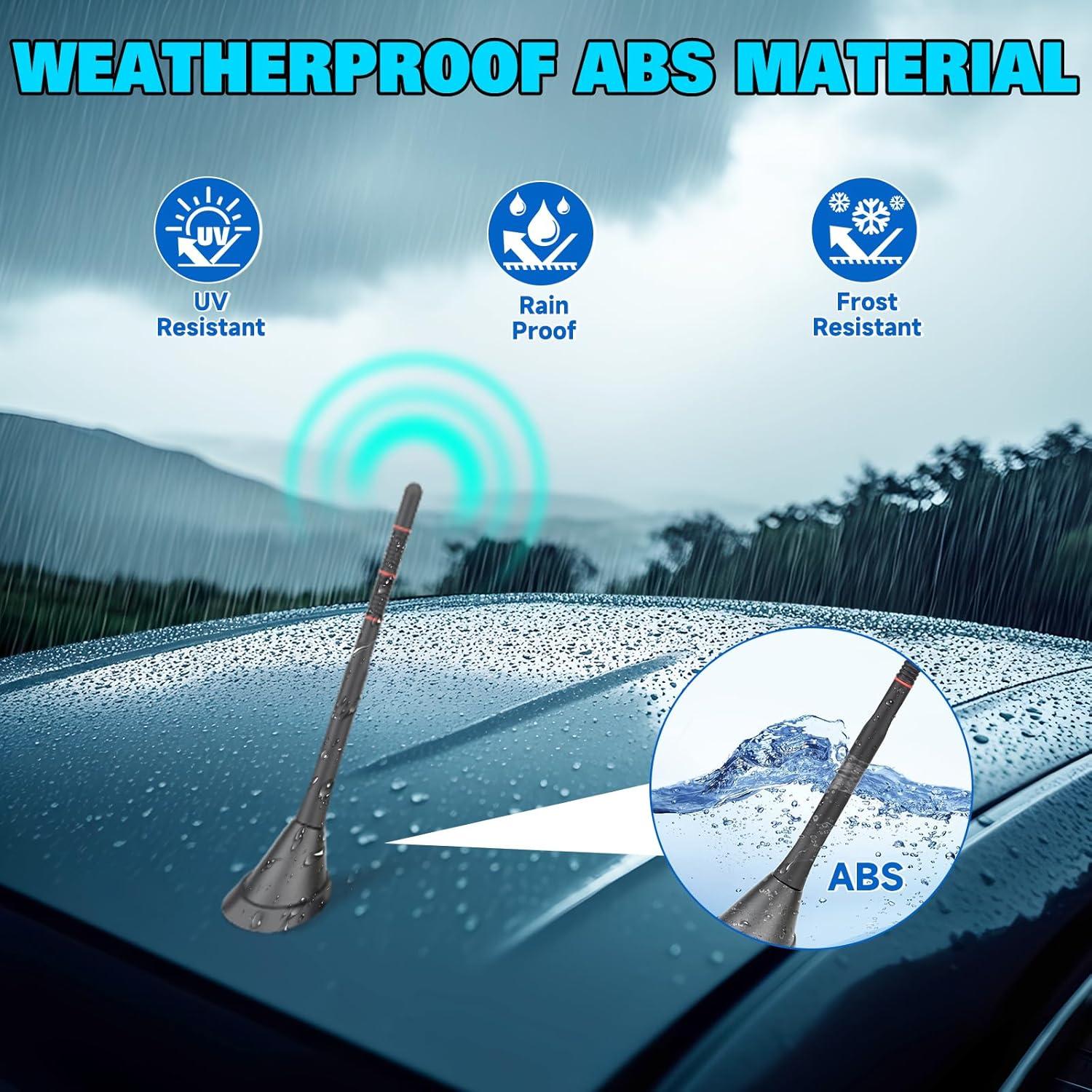 Antena de Radio de Coche Eightwood Amplificada 12V 5m