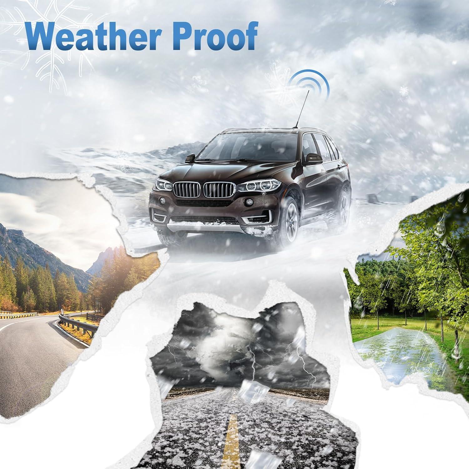 Antena de Coche Eightwood 41 cm AM/FM Reemplazo de Radio