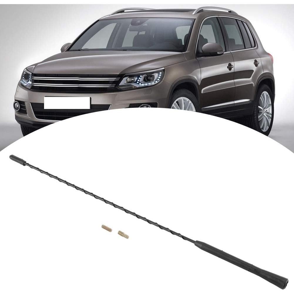 Antena de Coche Universal 40.64cm Gorgeri AM/FM Antirruido