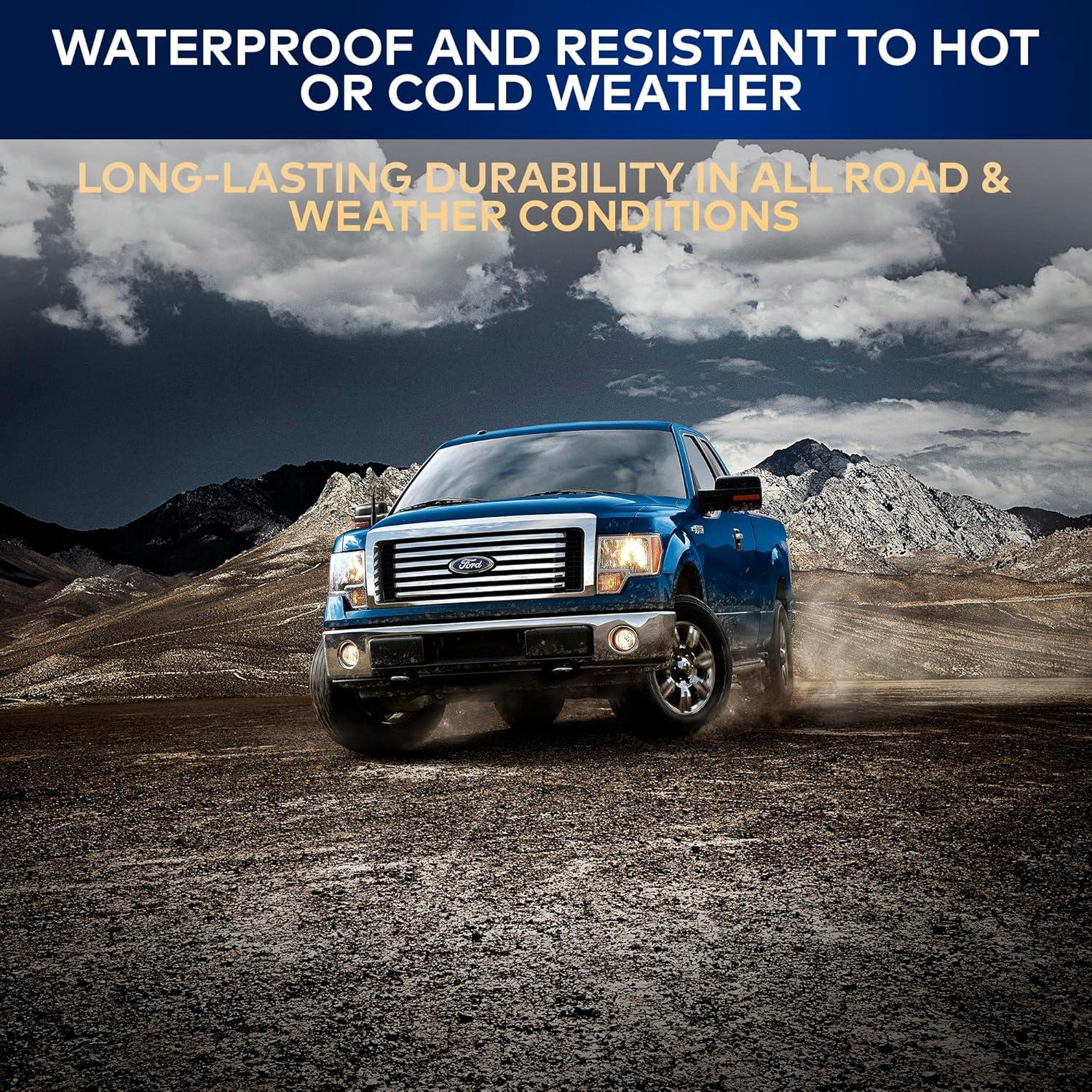 Antena de Estilo Bala TN TrunkNets para Ford F150 2009-2024