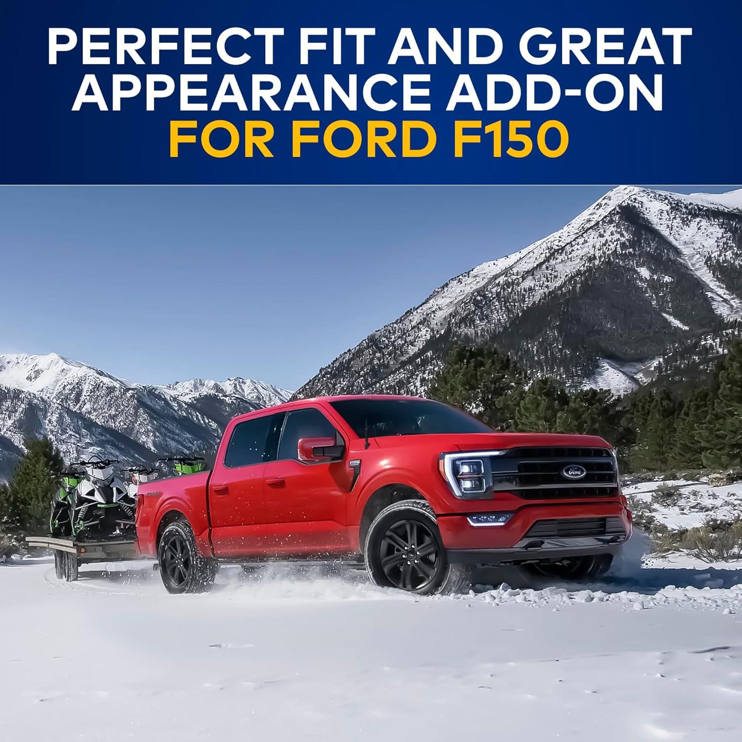 Antena de Estilo Bala TN TrunkNets para Ford F150 2009-2024