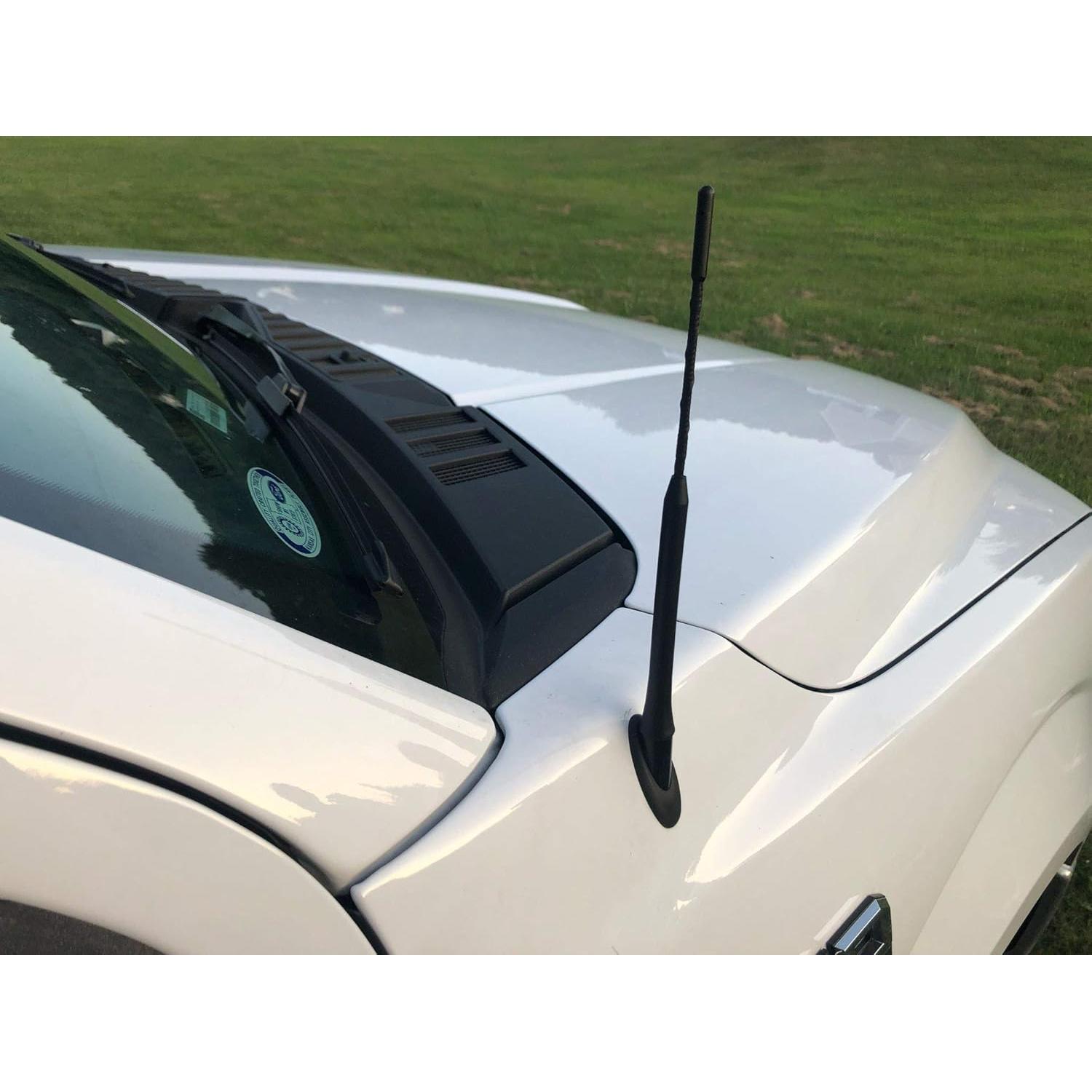 Antena de Coche TN TrunkNets para Ford F150 2009-2024 23 cm