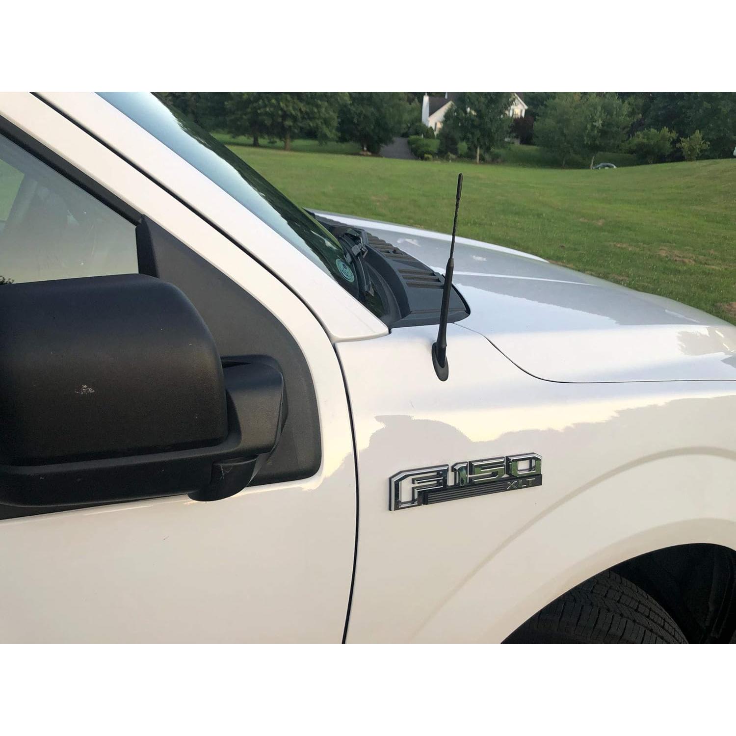 Antena de Coche TN TrunkNets para Ford F150 2009-2024 23 cm