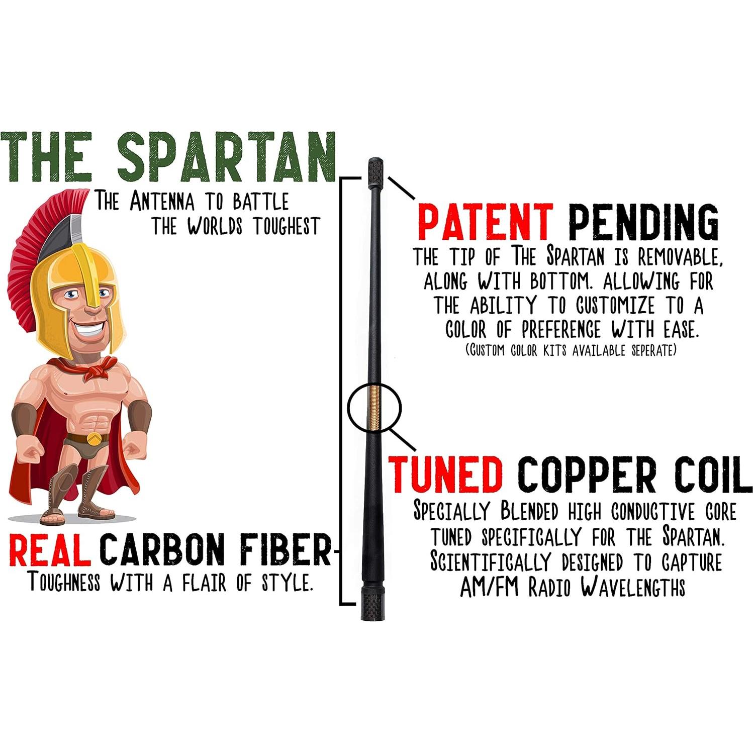 Antena corta Votex 35.56 cm para Triumph Trophy 2012-2017