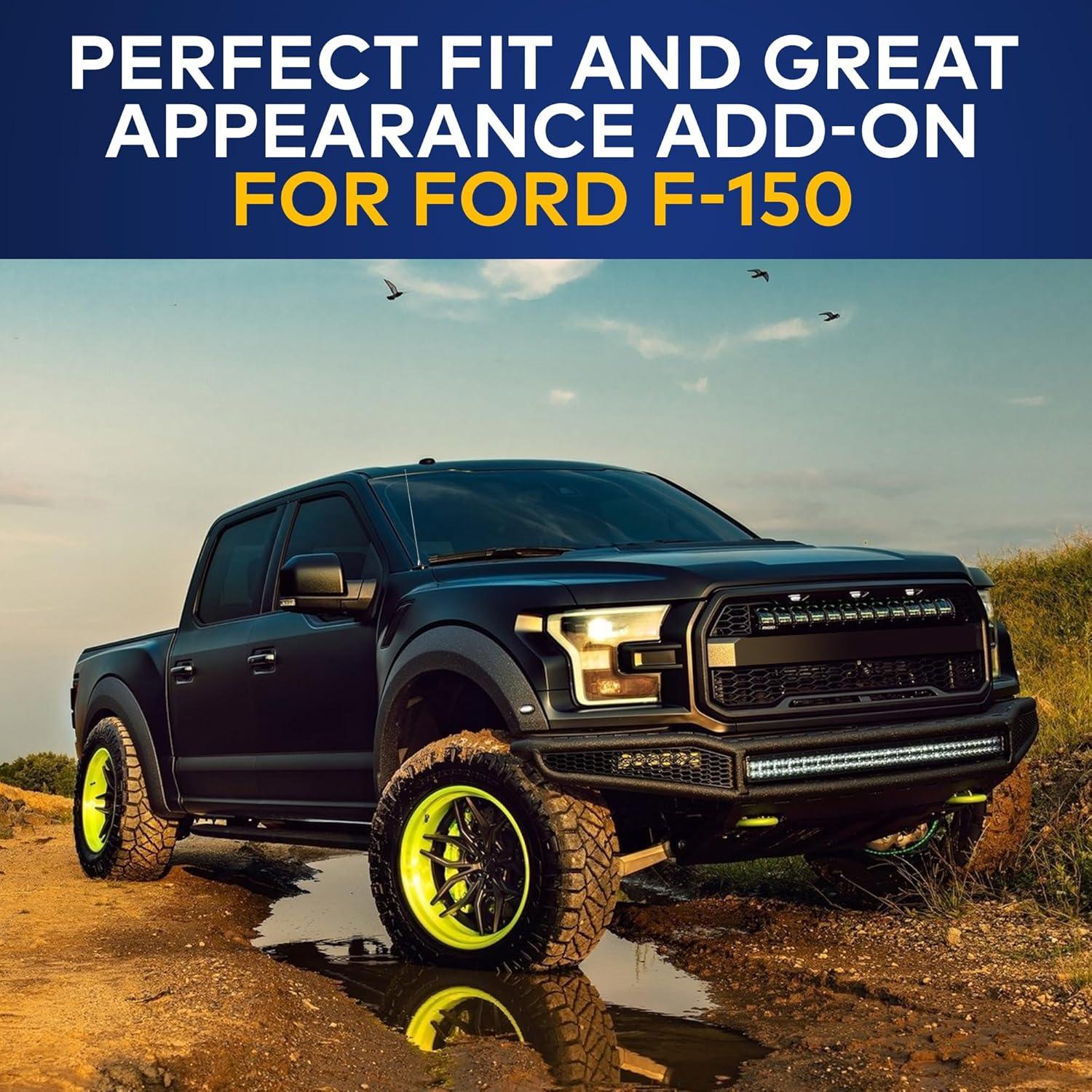 Antena de Coche TN TrunkNets para Ford F150 2009-2024 38cm