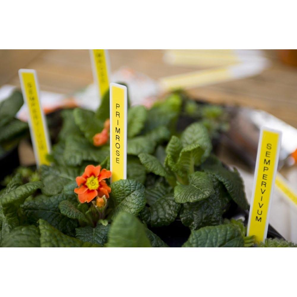 Etiquetadora Brother P-Touch PTD400AD, Monocromática, QWERTY