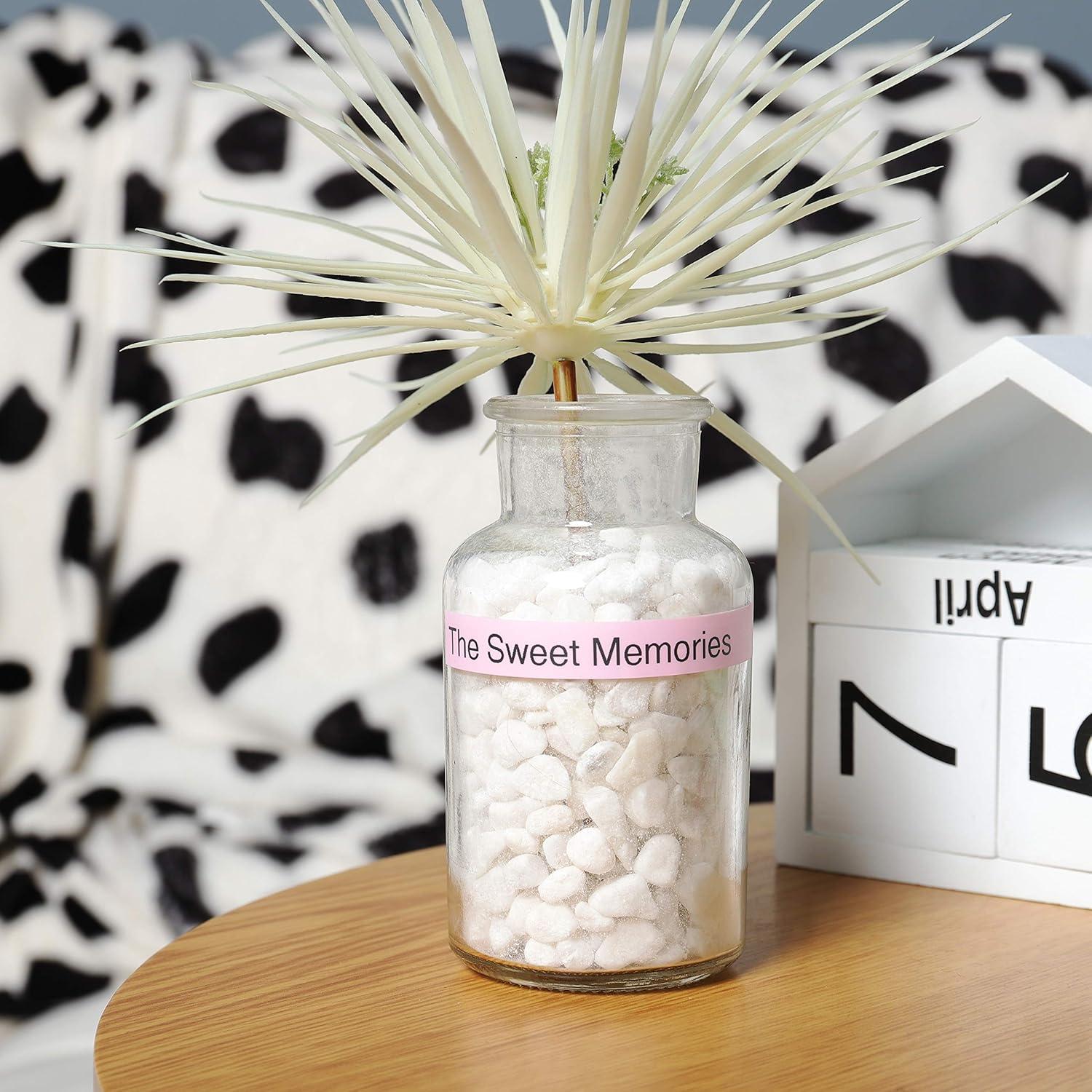 Cinta de Etiquetadora Brother P-Touch TZe 12mm 5 Colores