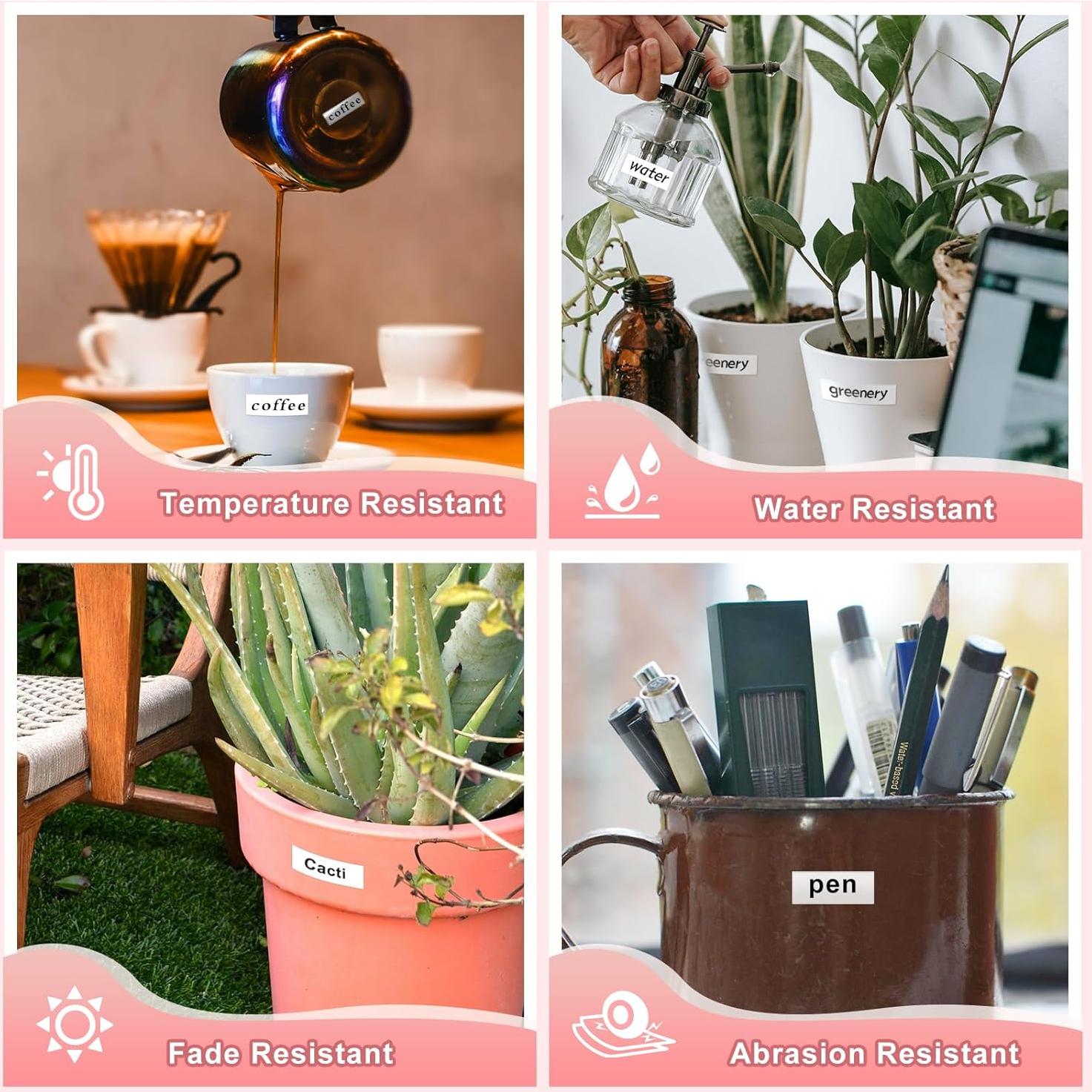 5 Cintas de Etiqueta RASSURT M-K231 12mm Negro sobre Blanco