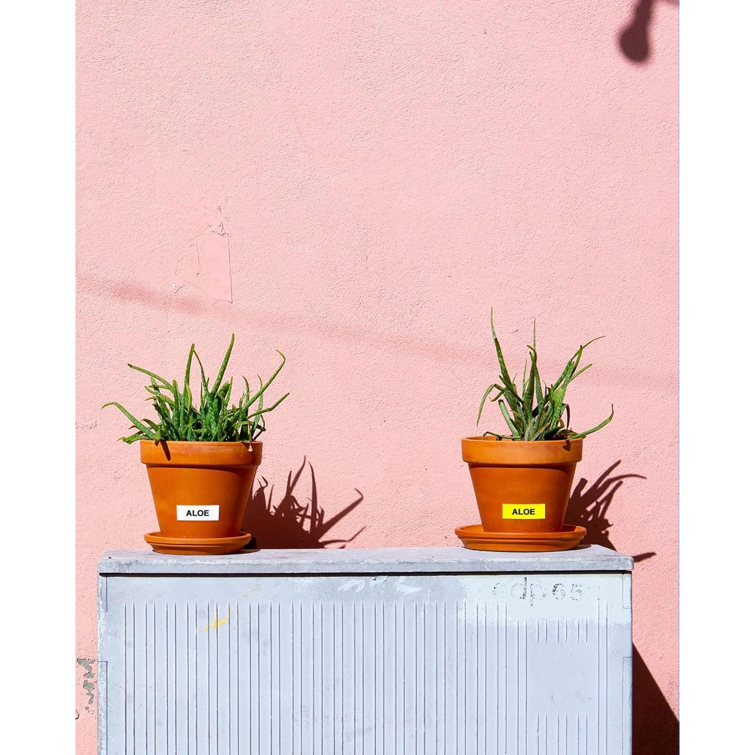 Cinta de Etiquetas TZe 12mm 6 Colores TITBIT para Brother