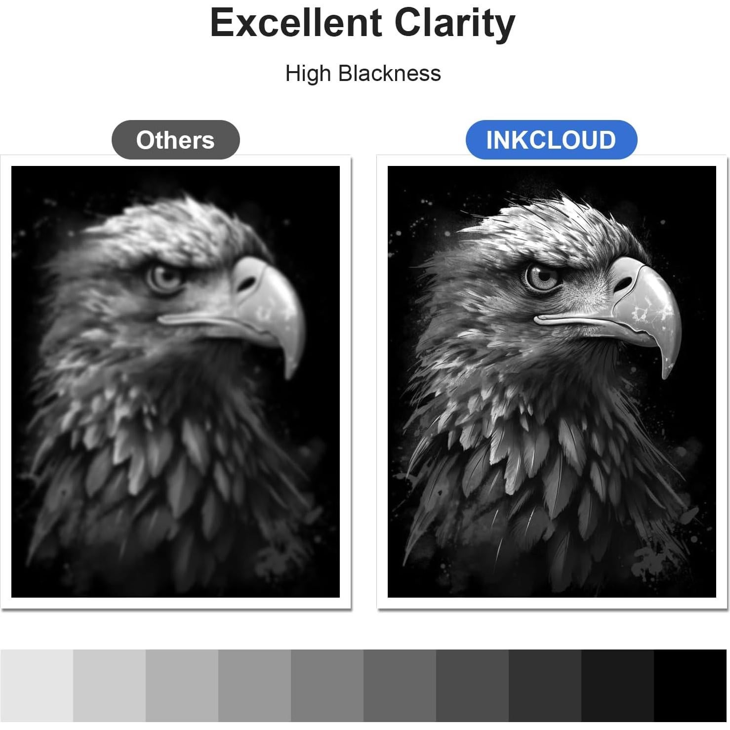 Cartucho de Tóner Negro INKCLOUD TN760 para Brother - 2 Unidades