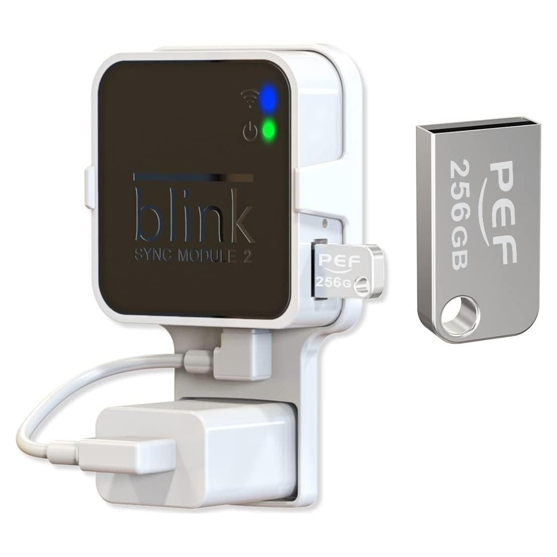 Unidad Flash USB 256GB PEF + Soporte Enchufe Blink 2