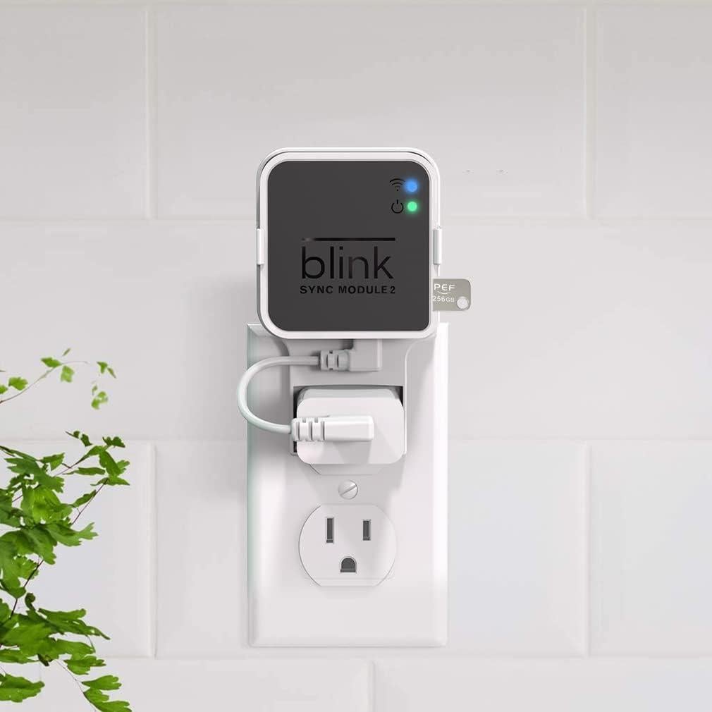 Unidad Flash USB 256GB PEF + Soporte Enchufe Blink 2