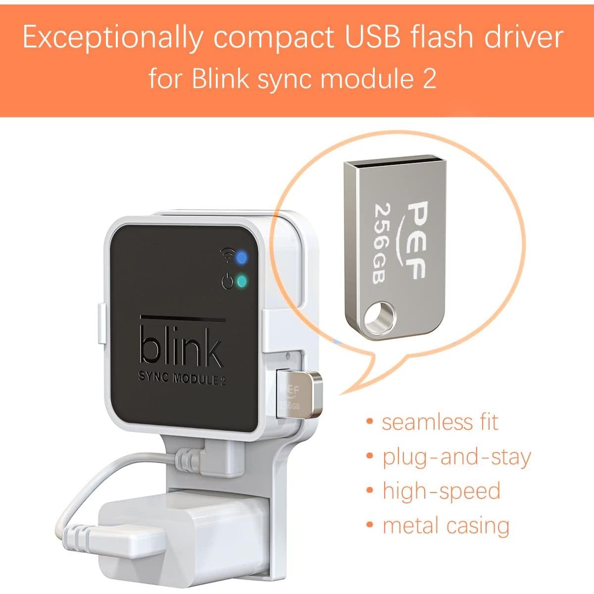 Unidad Flash USB 256GB PEF + Soporte Enchufe Blink 2