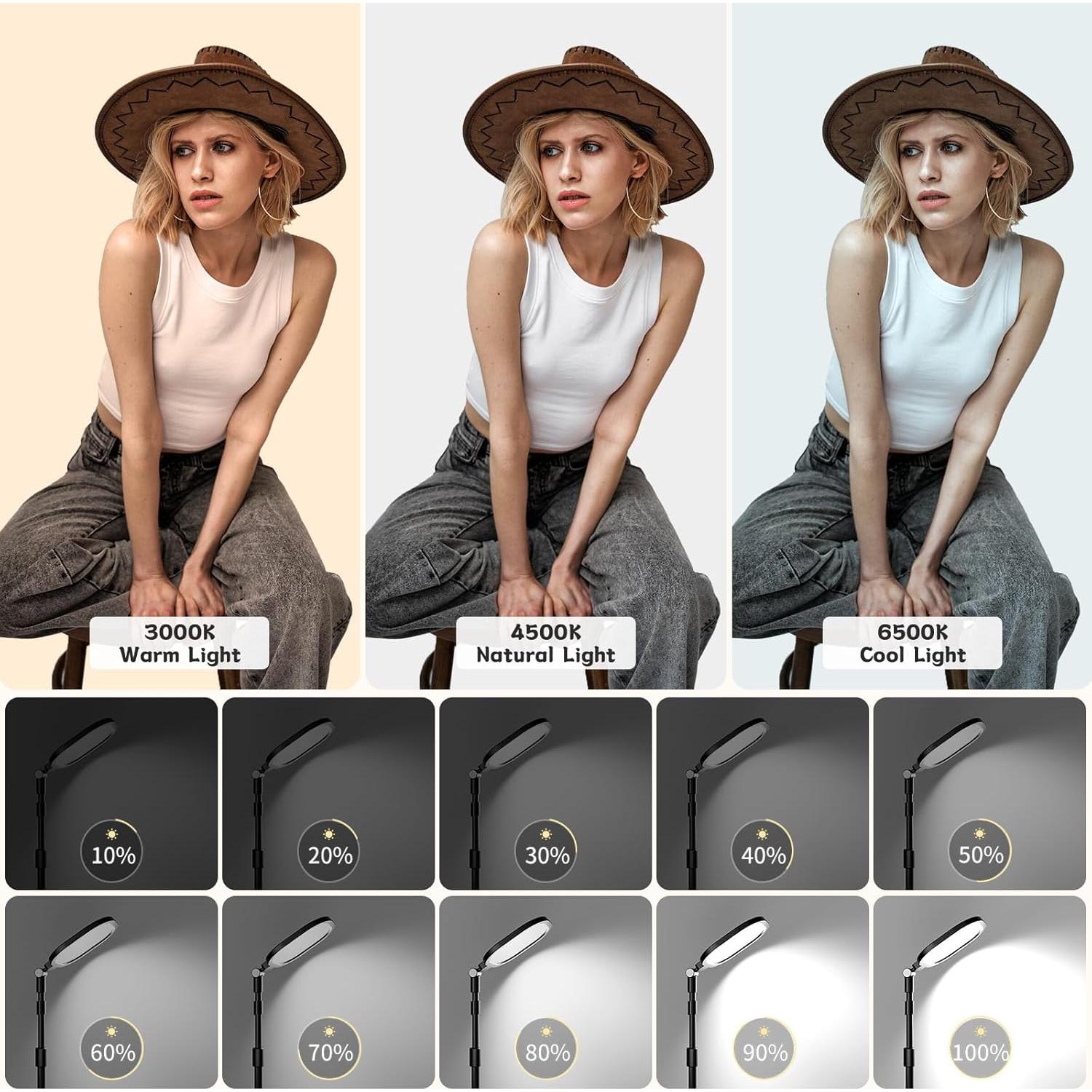 2 Packs Video Conference Lighting Kits, Dimmable Desk Ring Light with Stand and Phone Holder, Computer Laptop Light for Zoom Meeting, Video Calls, Live Streaming, Podcasting, Video Recoring