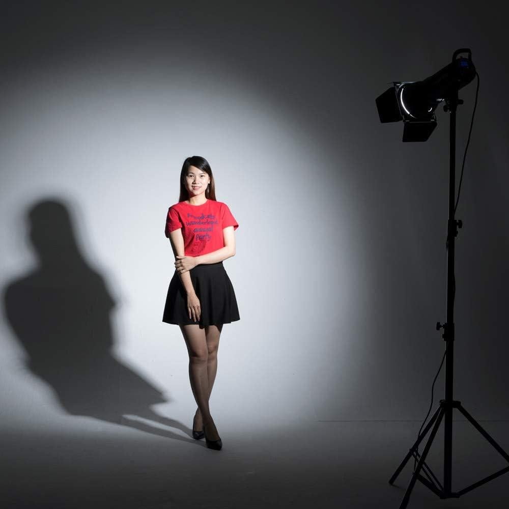 Kit de Flash de Estudio Godox SK400II 800Ws con Softbox y Soporte