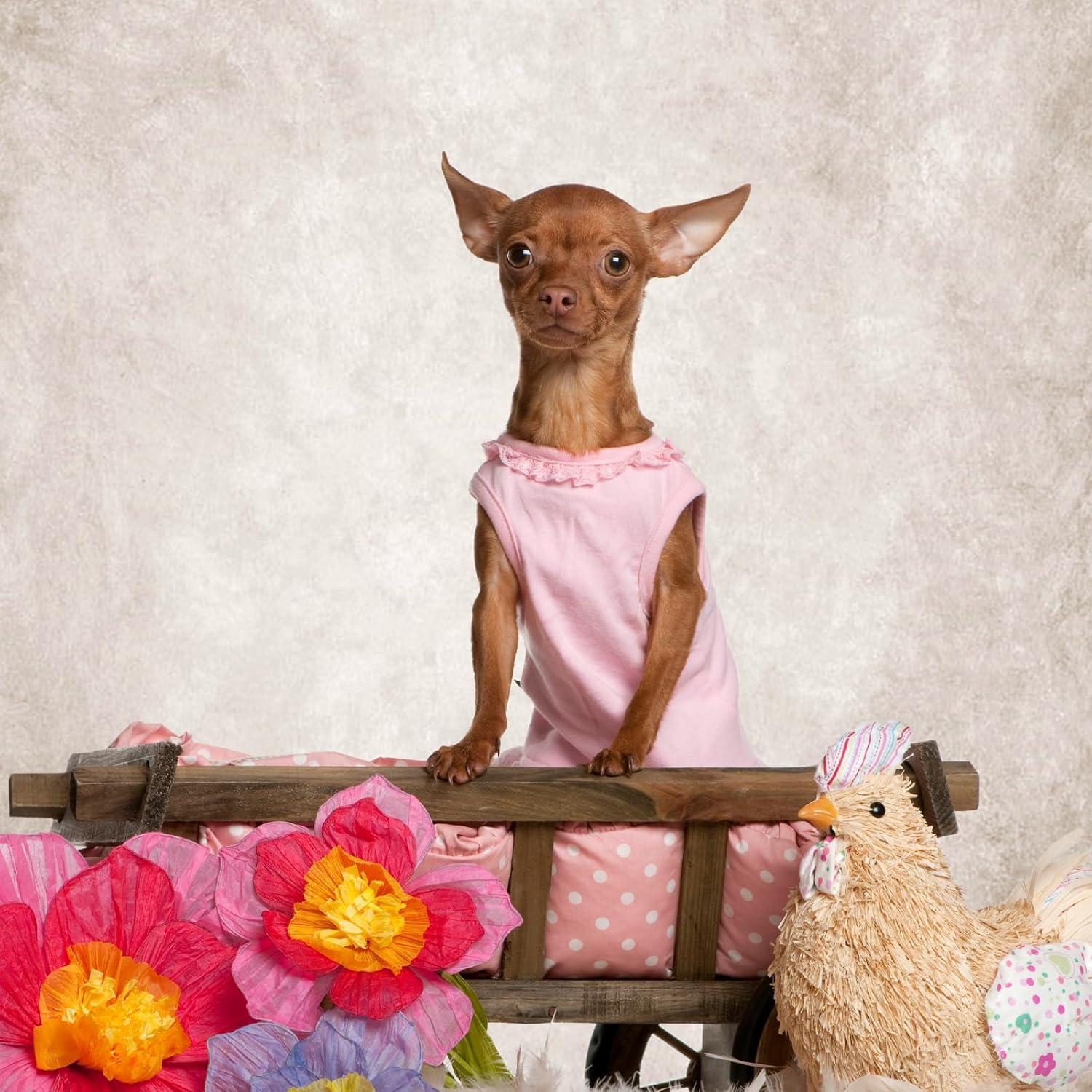 Fondo Fotográfico Beige Mocsicka 1.9x3m Textura Vintage