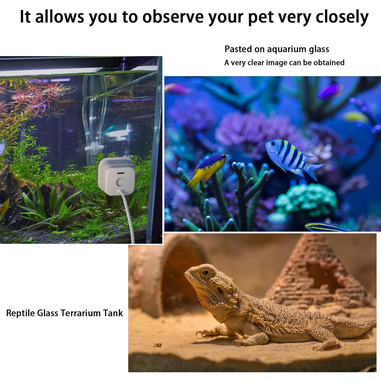 Soporte de Ventana Teccle para Blink Mini 2 Blanco