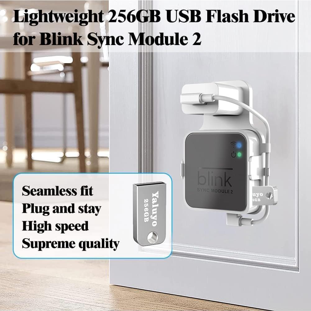 Soporte para Módulo Blink 2 + USB 256GB + Fácil Instalación