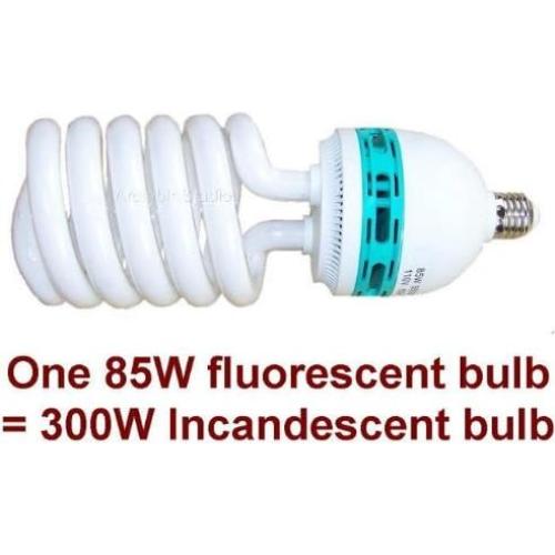 Photo 600w Continuous Light Softbox Lighting Kit and Background Backdrop Support System