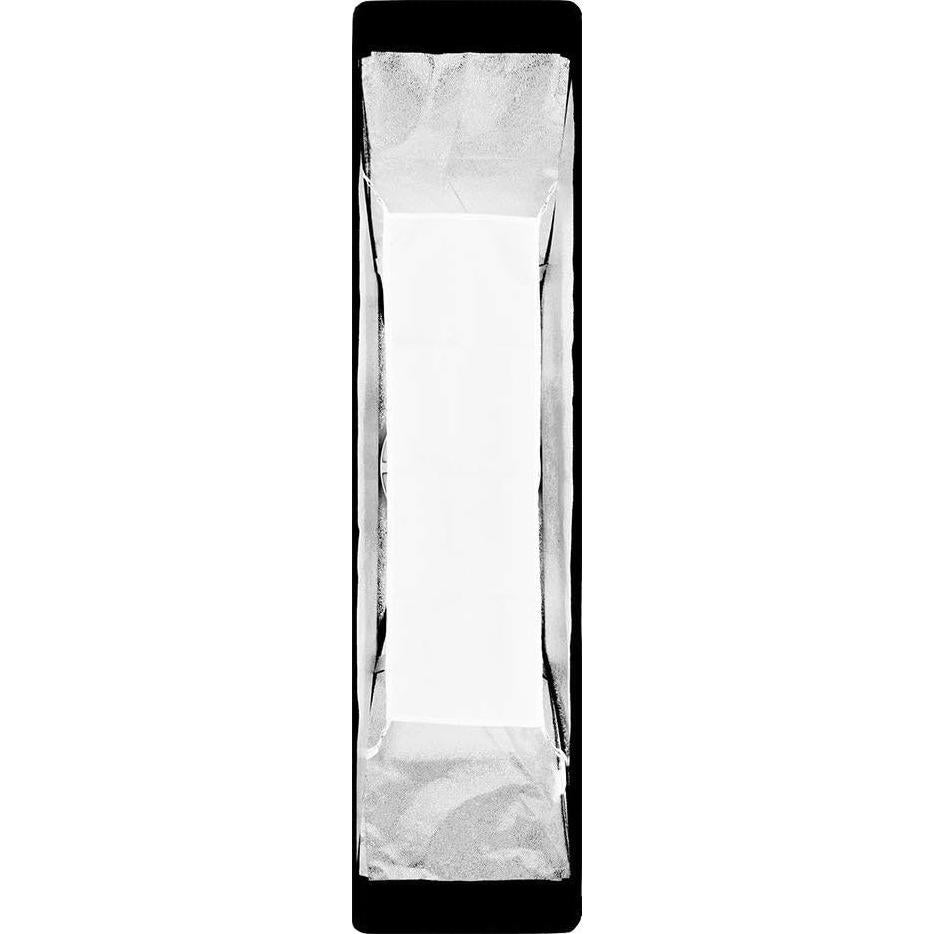 Softbox Rectangular Godox 22x90cm con Montura Bowens - 2 Pack