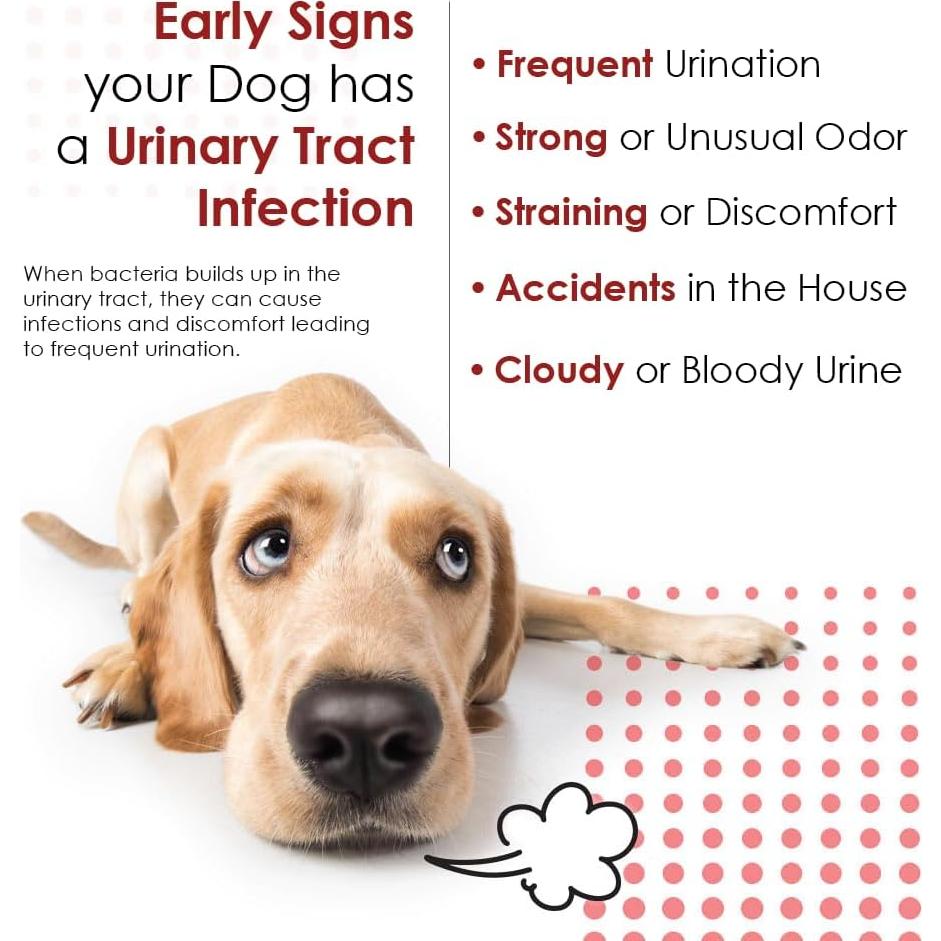 Suplemento D-Mannosa Arándano 60 Tabletas Mascotas Salud Urinaria