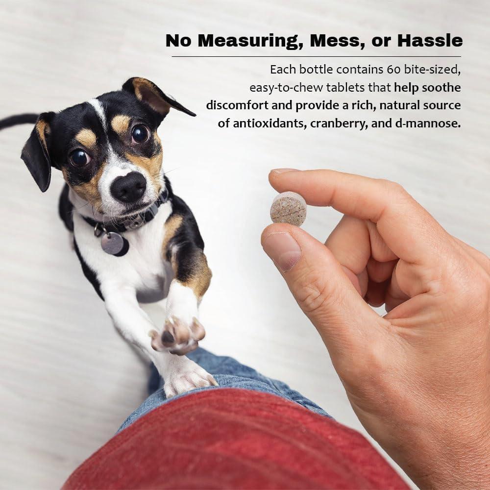 Suplemento D-Mannosa Arándano 60 Tabletas Mascotas Salud Urinaria