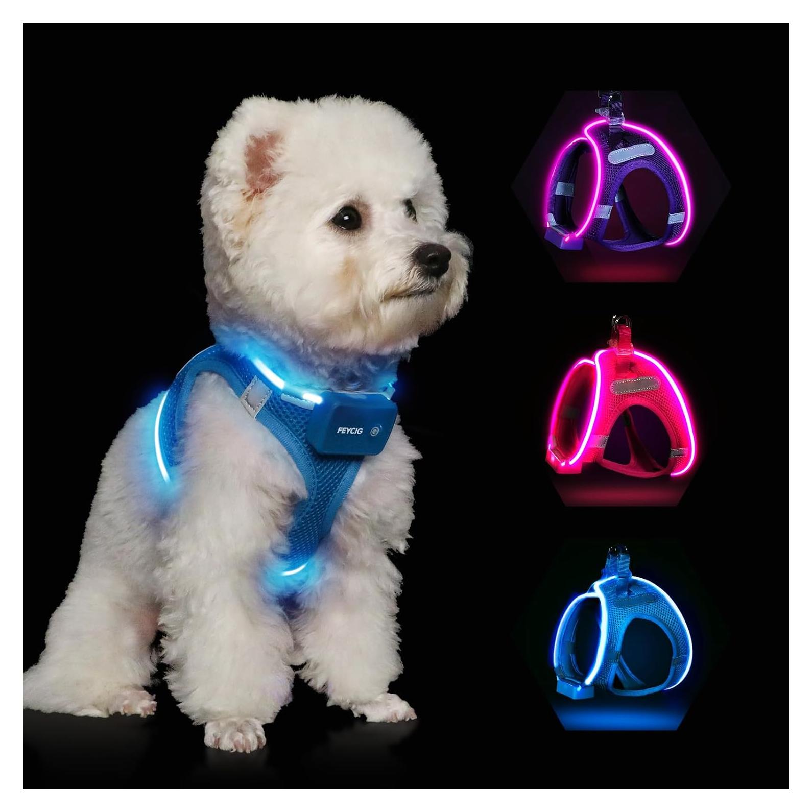 Arnés LED para Perros Feycig XS Ajustable y Recargable Azul