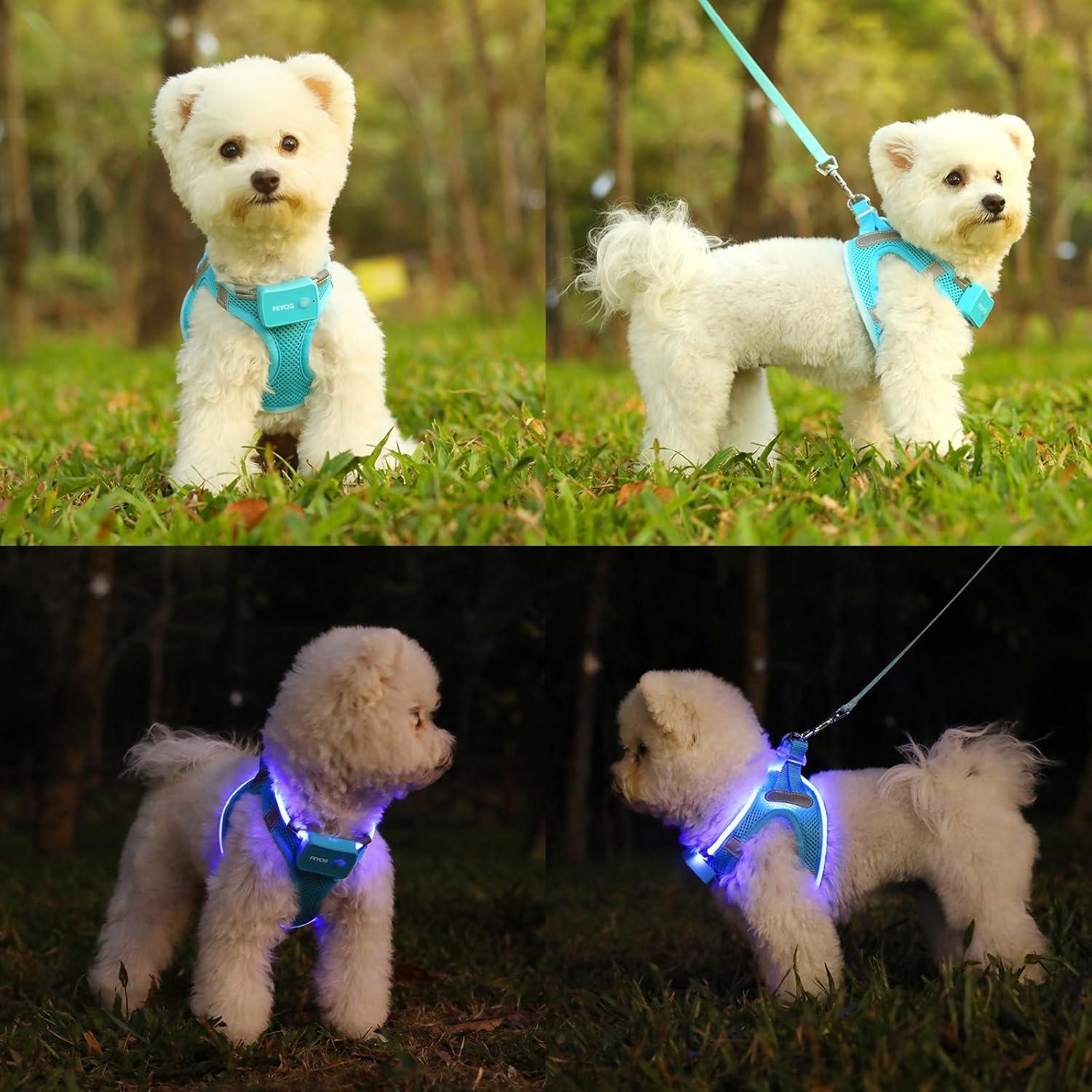 Arnés LED para Perros Feycig XS Ajustable y Recargable Azul