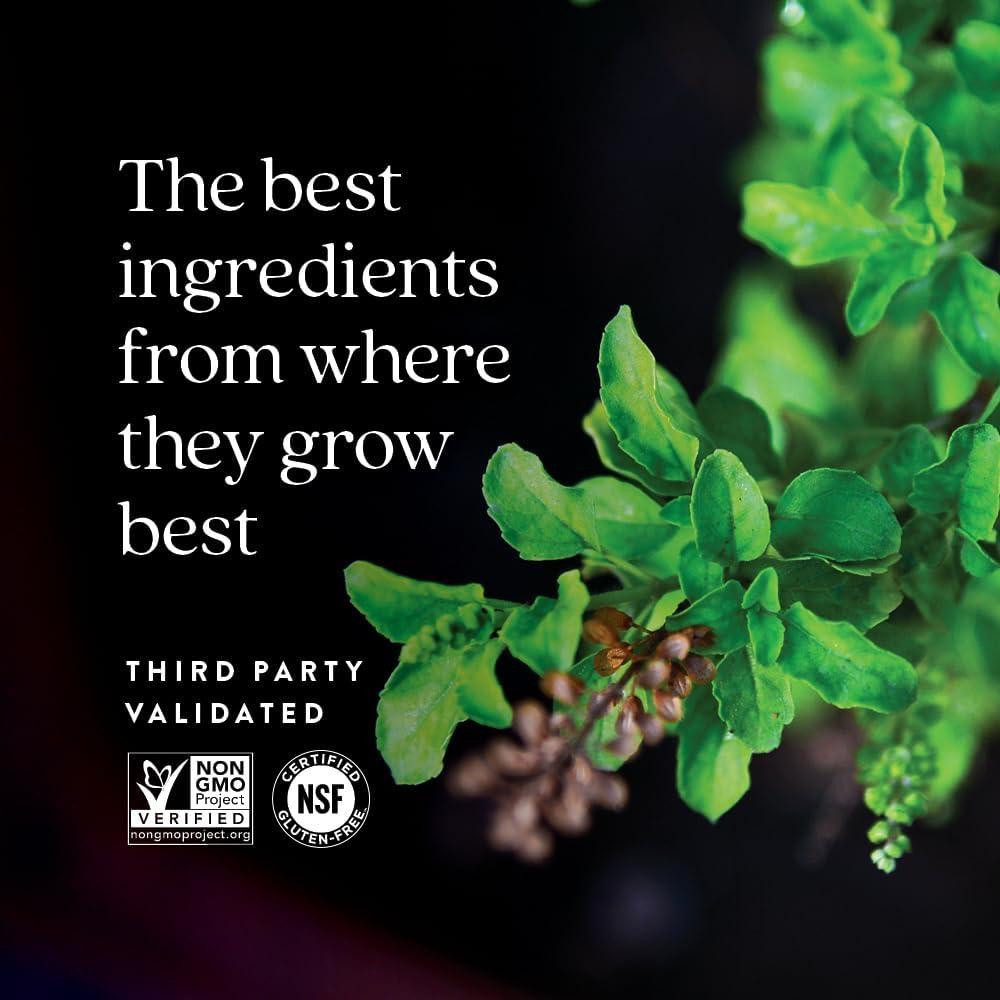 Suplemento de Albahaca Sagrada New Chapter 30 Cápsulas Vegetarianas