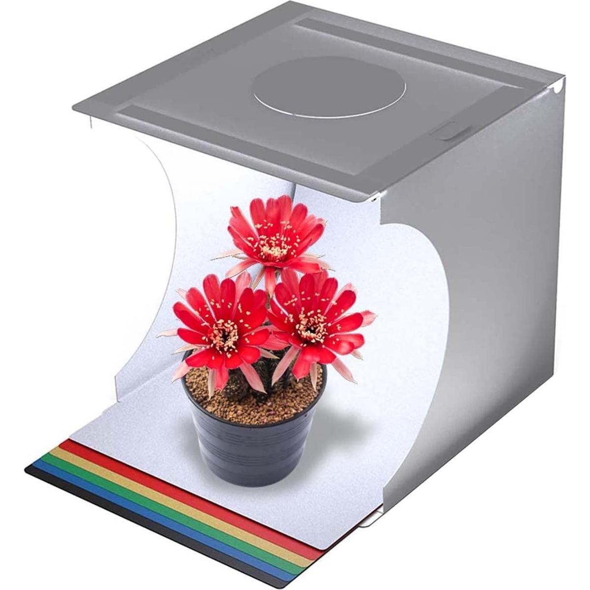 Kit Estudio Fotográfico Portátil Bower 9" con 2 LED y 6 Fondos