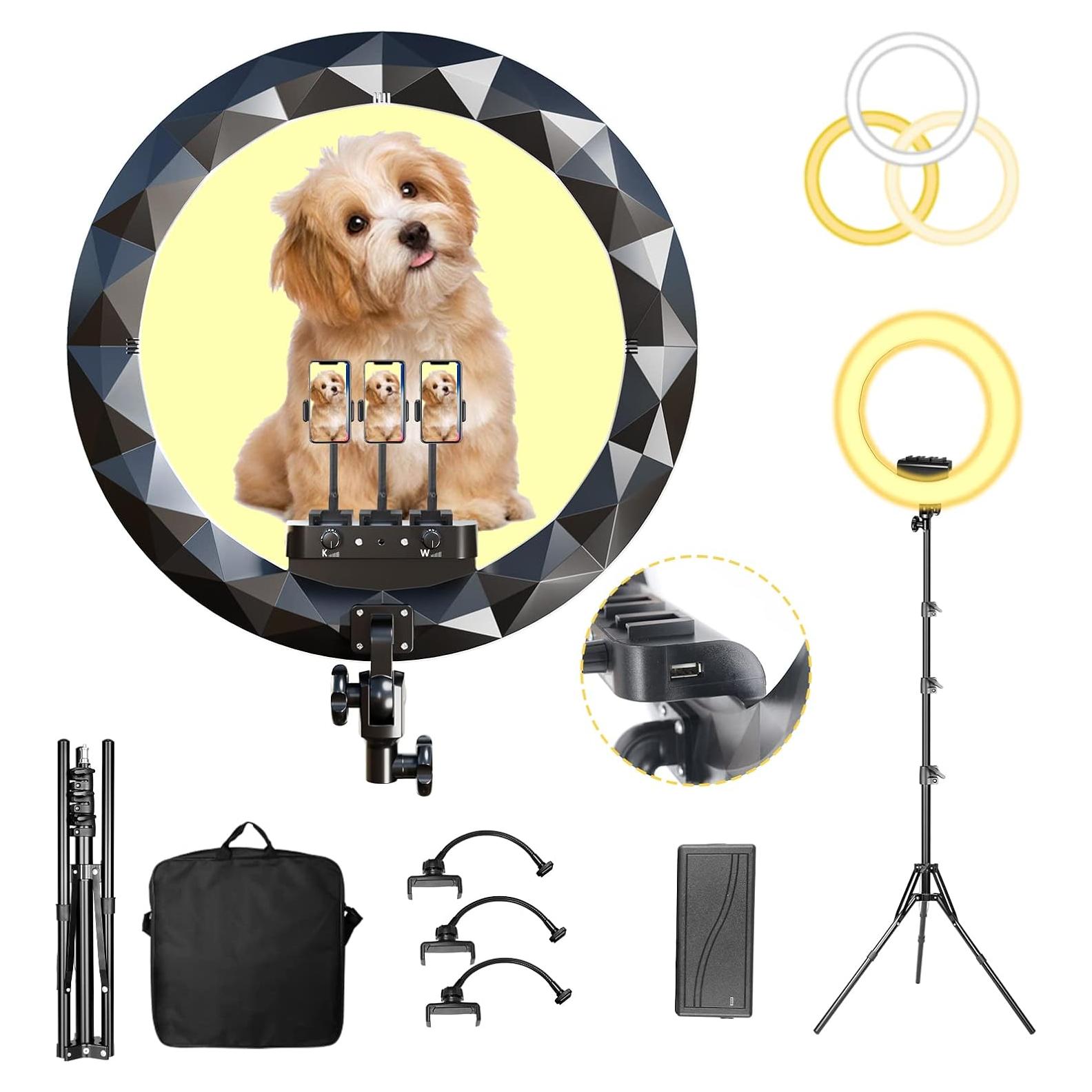 Anillo de Luz LED 19" con Trípode 2.5m y 3 Soportes para Teléfono