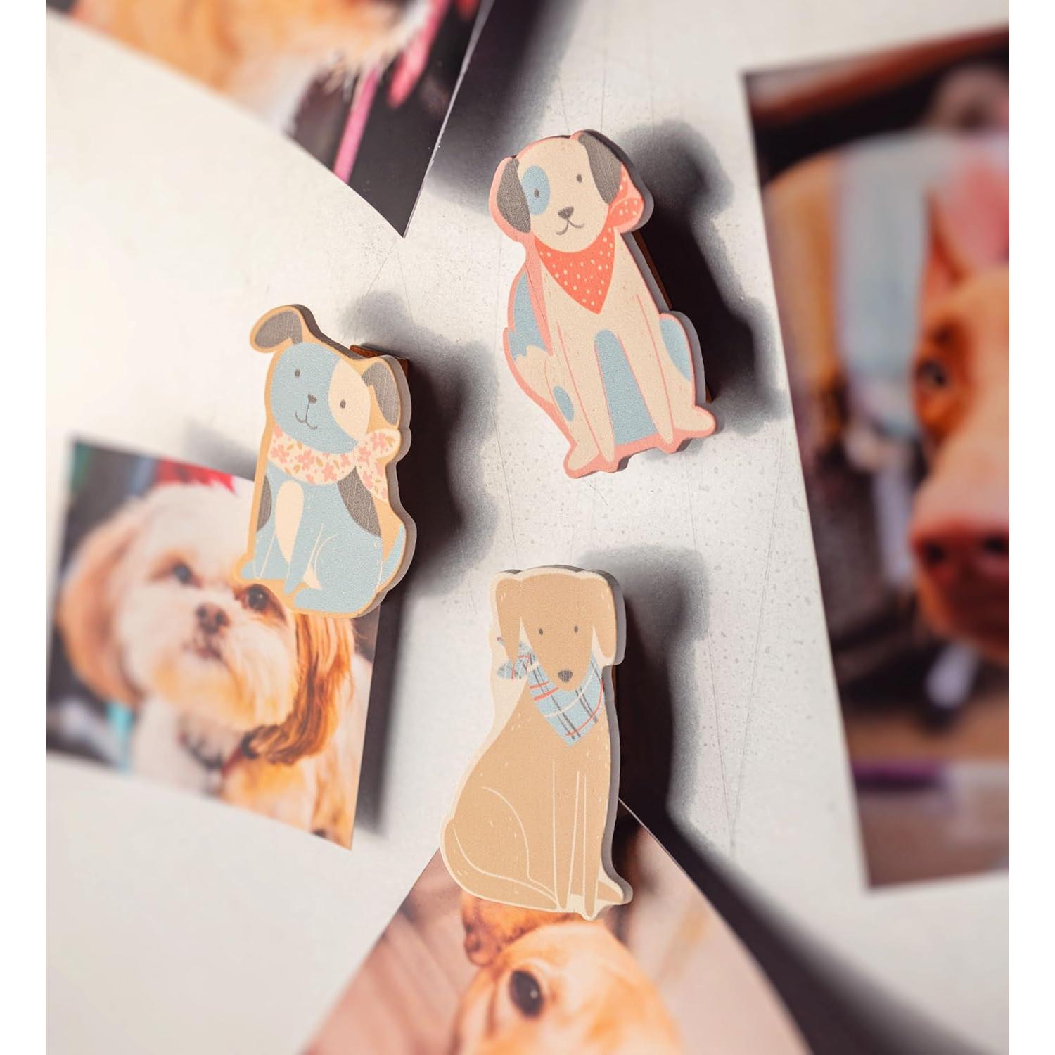 Clips Magnéticos para Bolsas Karma - Diseño Abeja - 3 Piezas