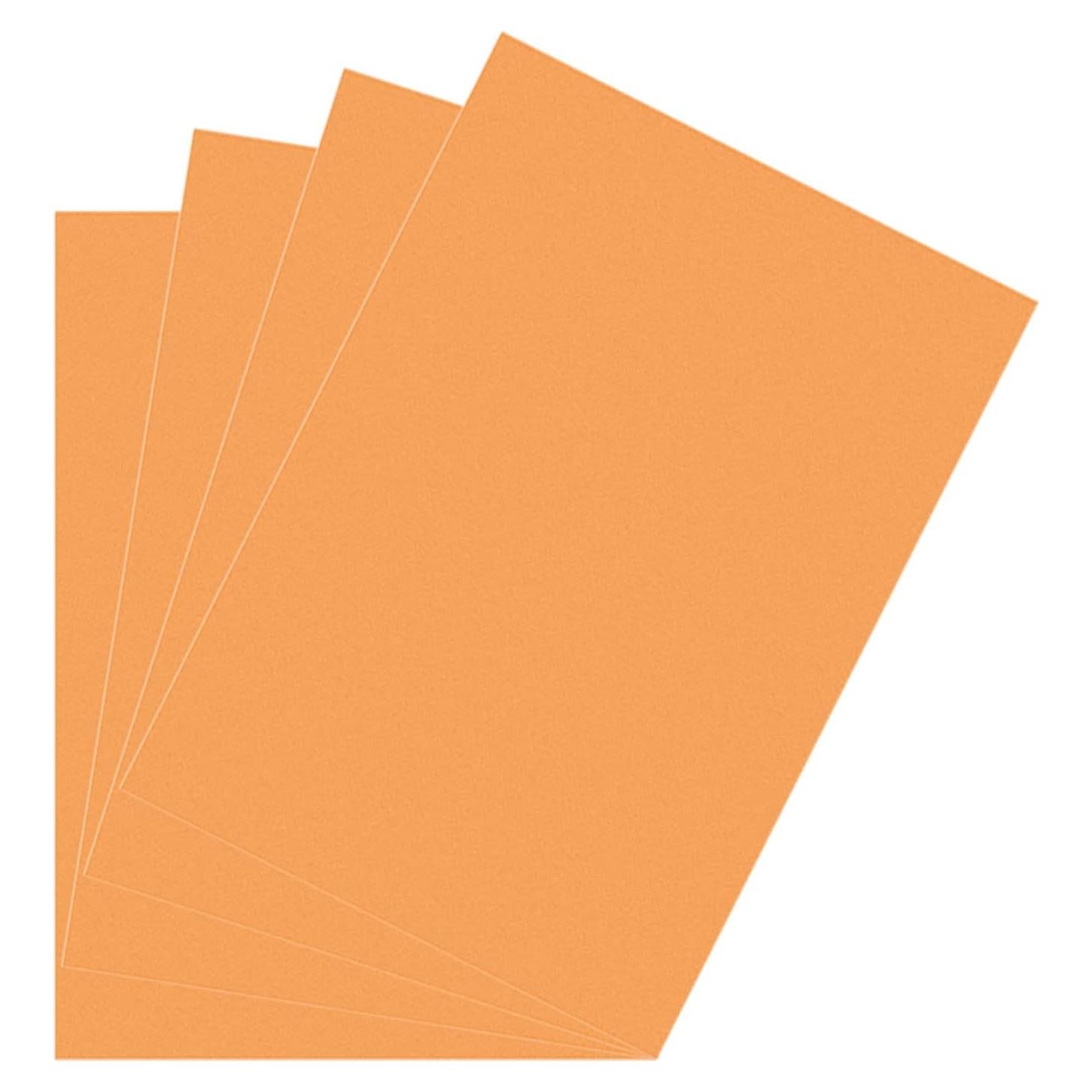 Filtro de Gel de Corrección DMiotech 4 Pcs PVC Naranja Mate