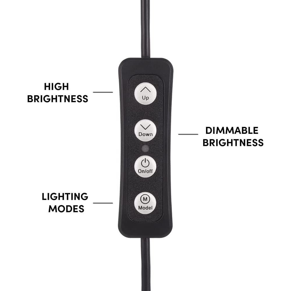 Luz de Anillo LuMee Studio 4" con Soporte y Clip - Negro